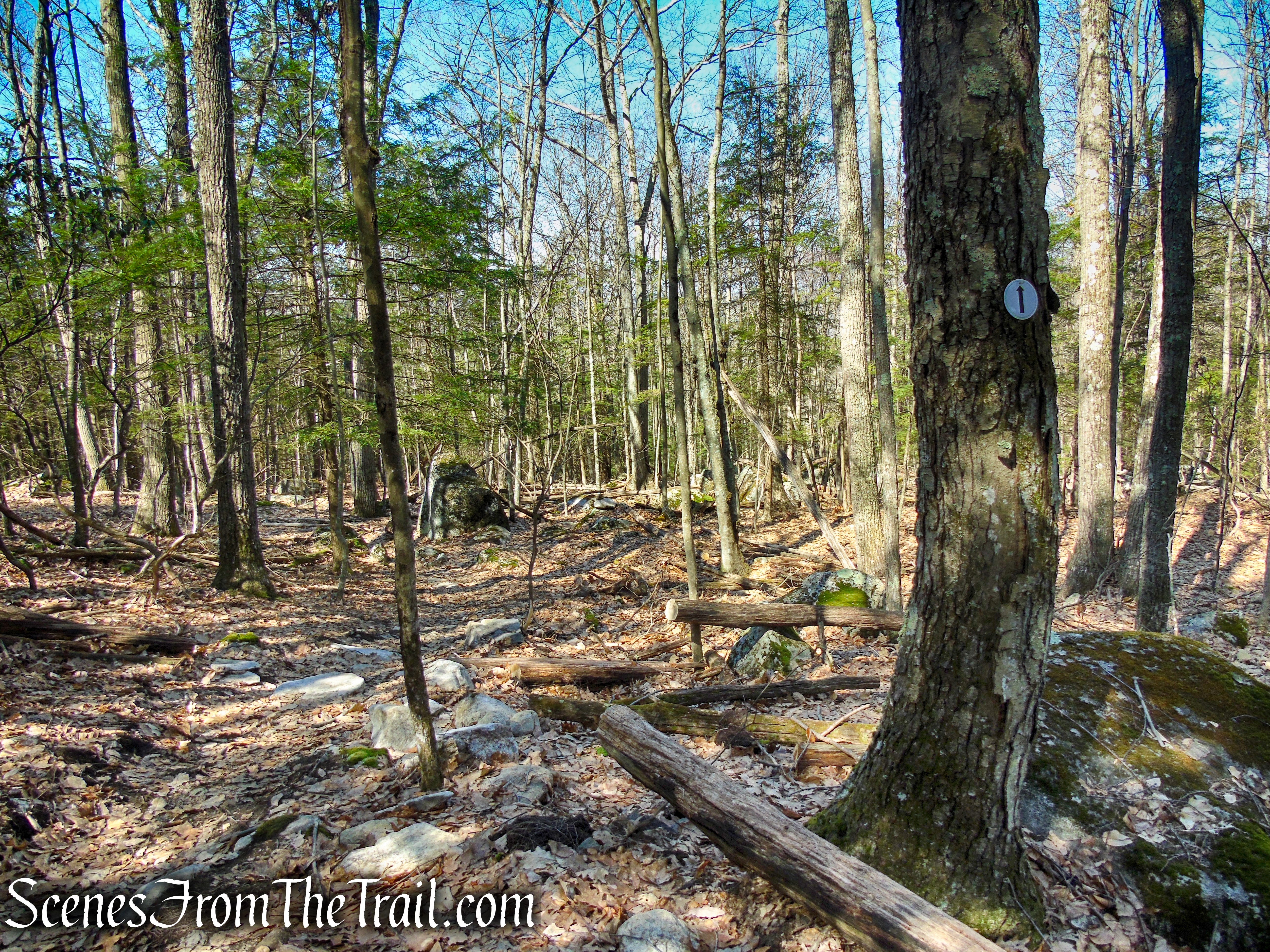 Cliff Loop Extension - Sharon Land Trust