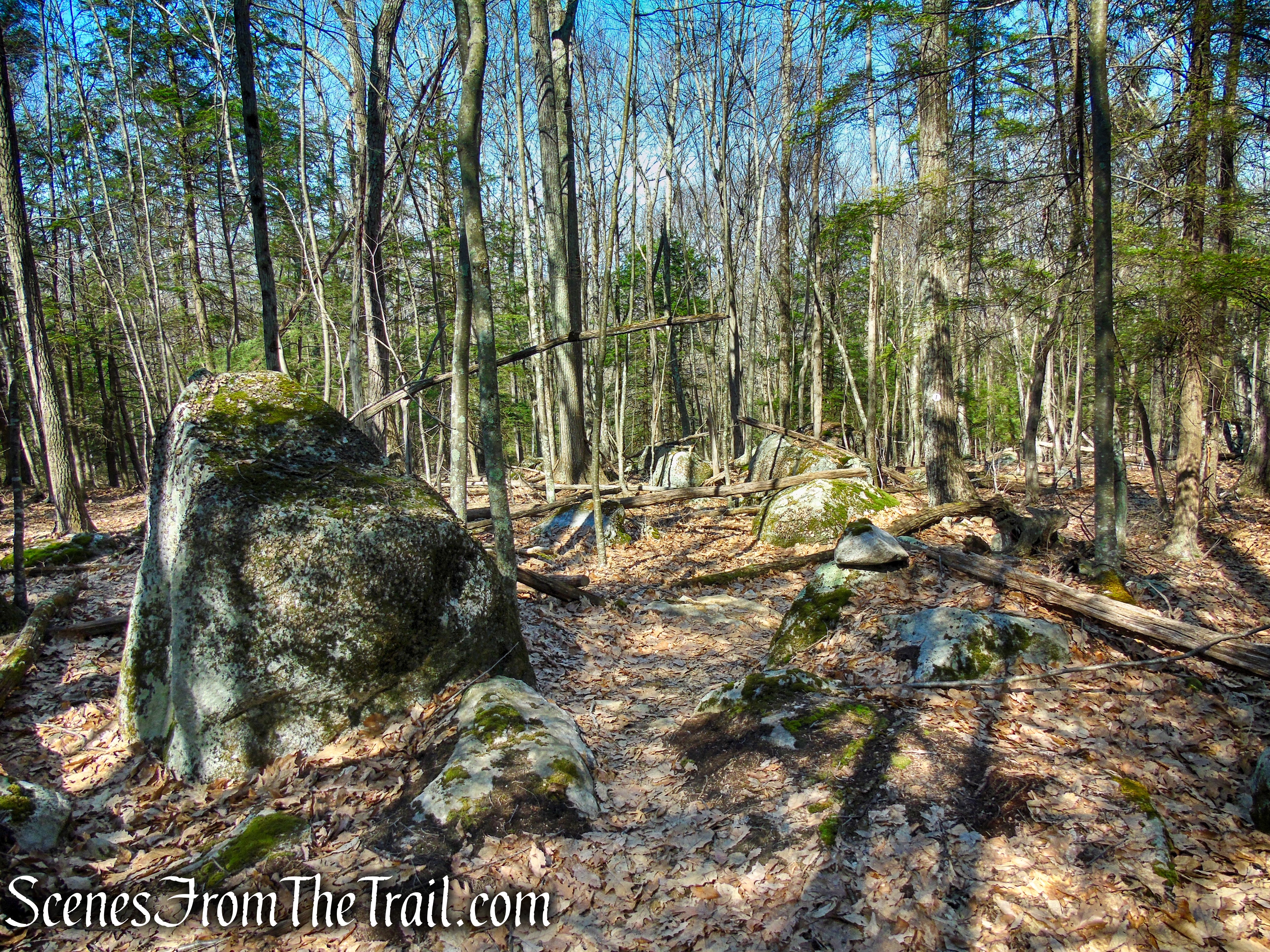 Cliff Loop Extension - Sharon Land Trust