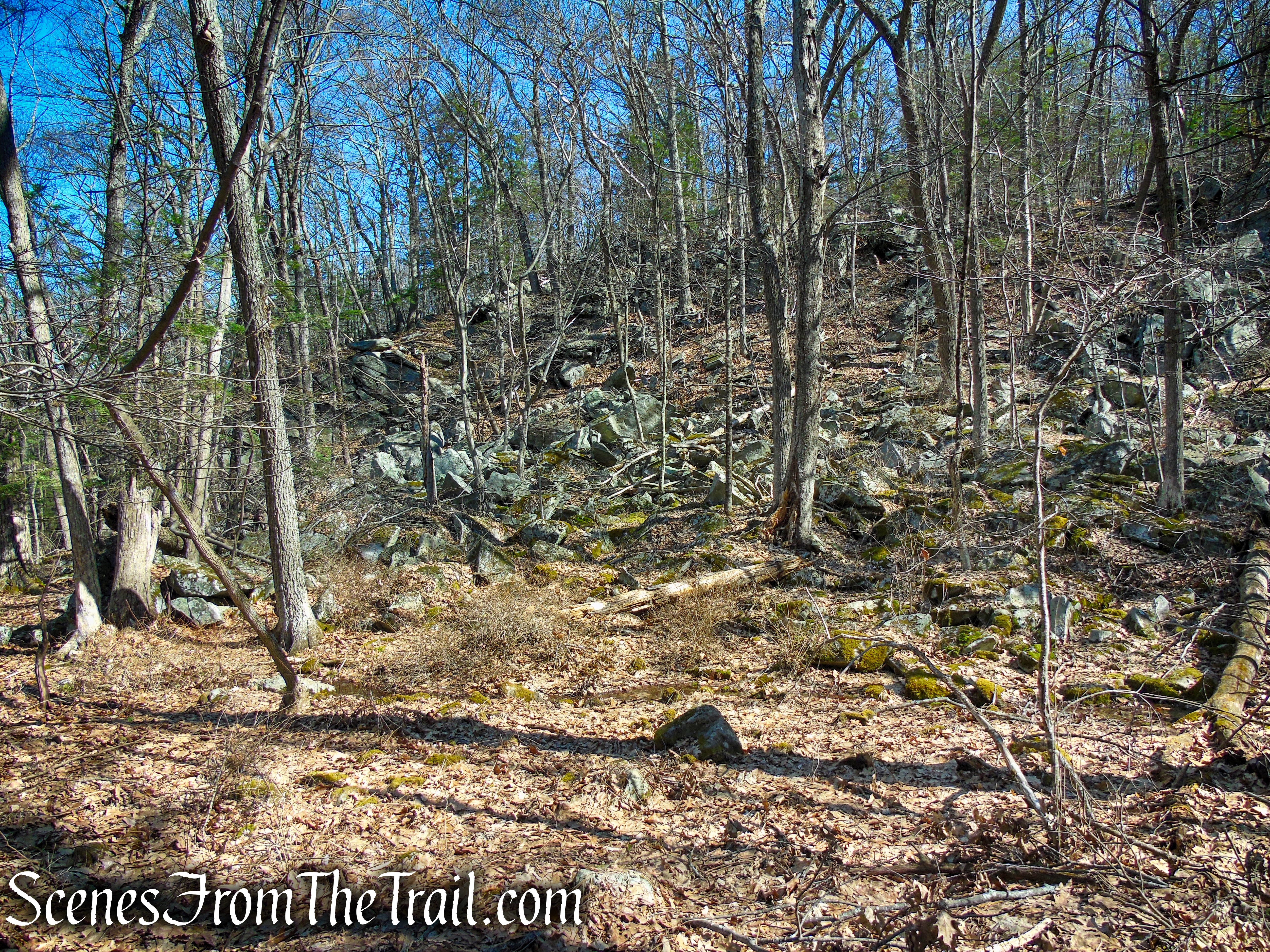 Cliff Loop Extension - Sharon Land Trust