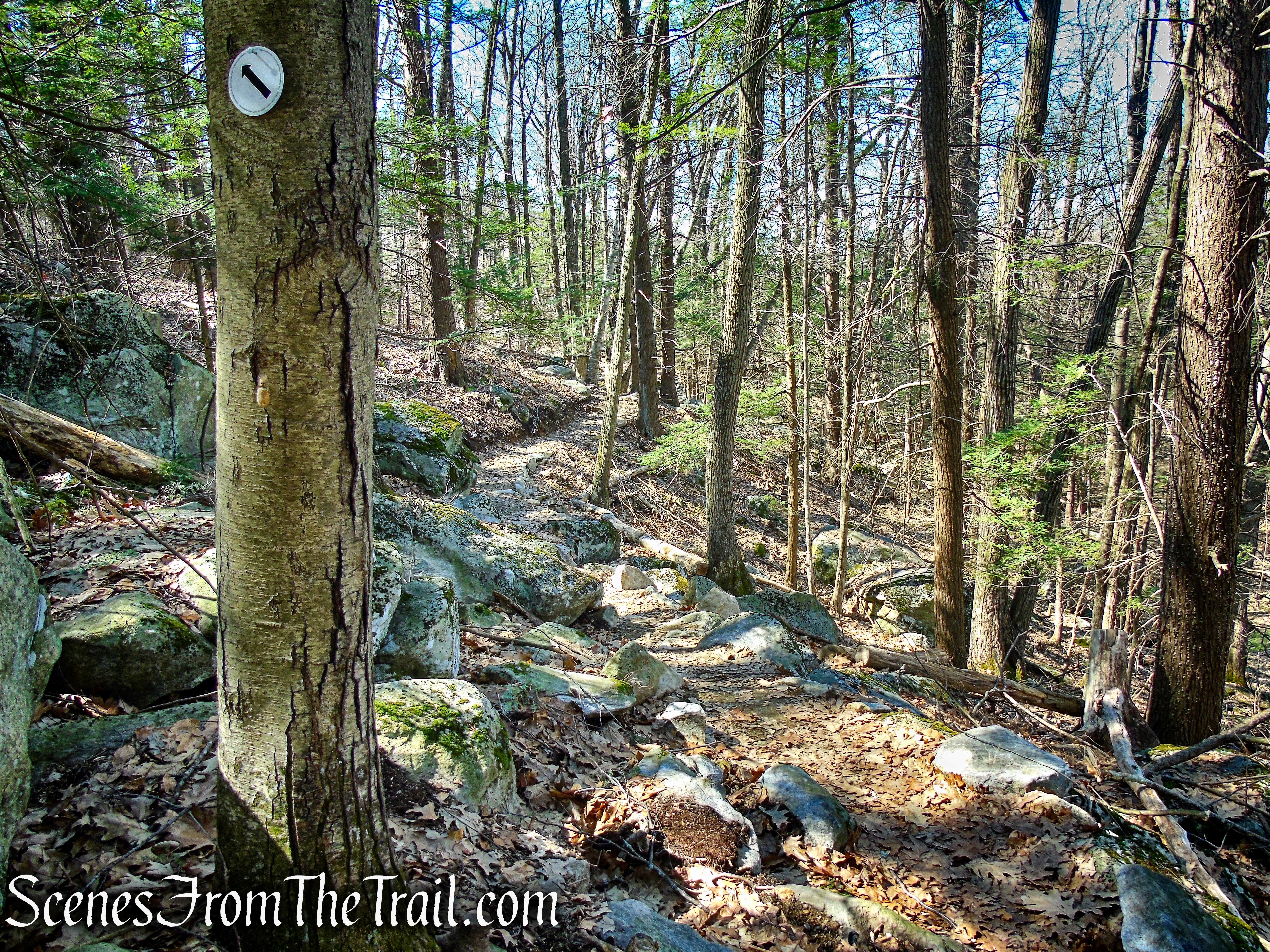 Cliff Loop Extension - Sharon Land Trust
