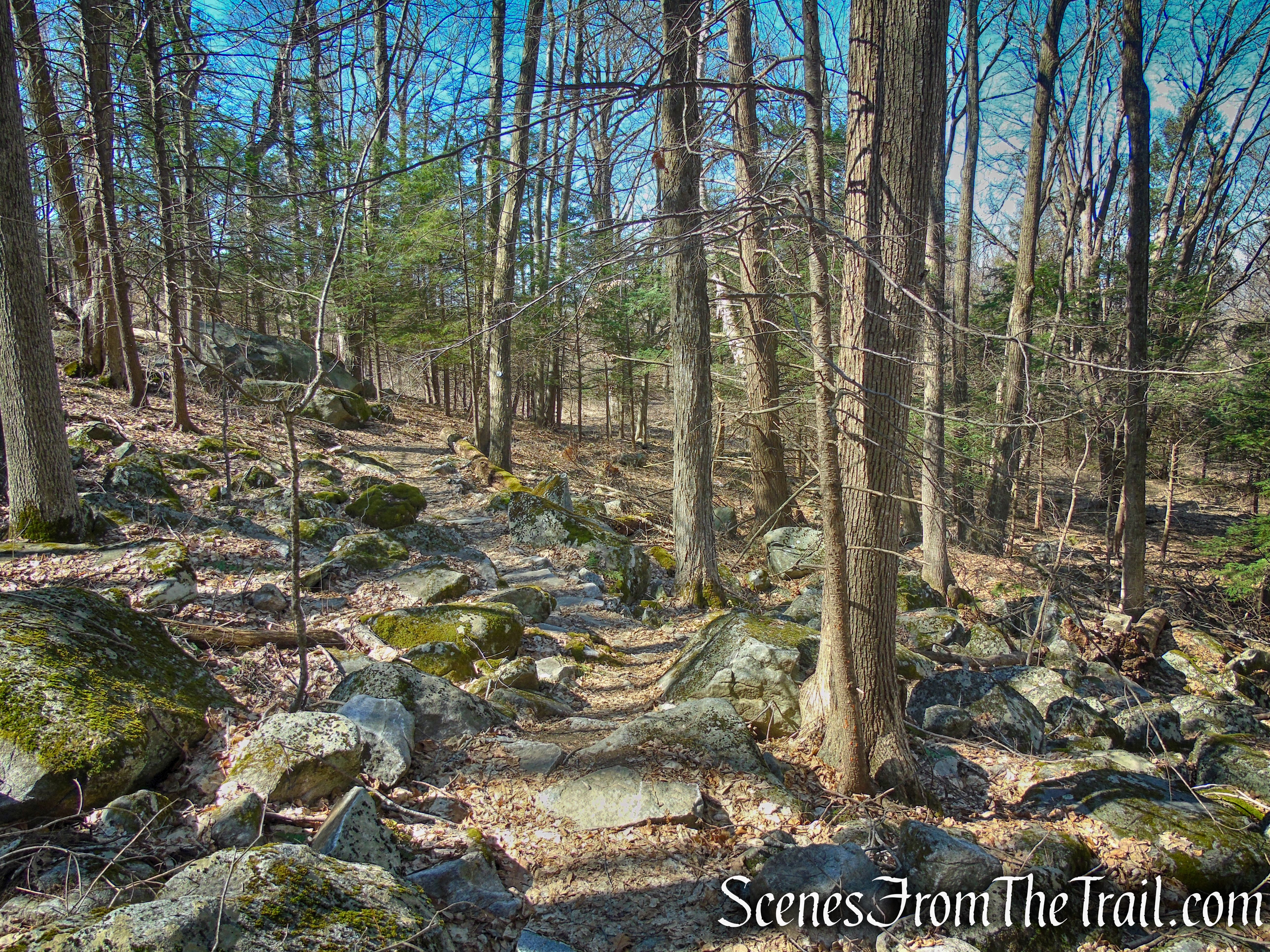 Cliff Loop Extension - Sharon Land Trust