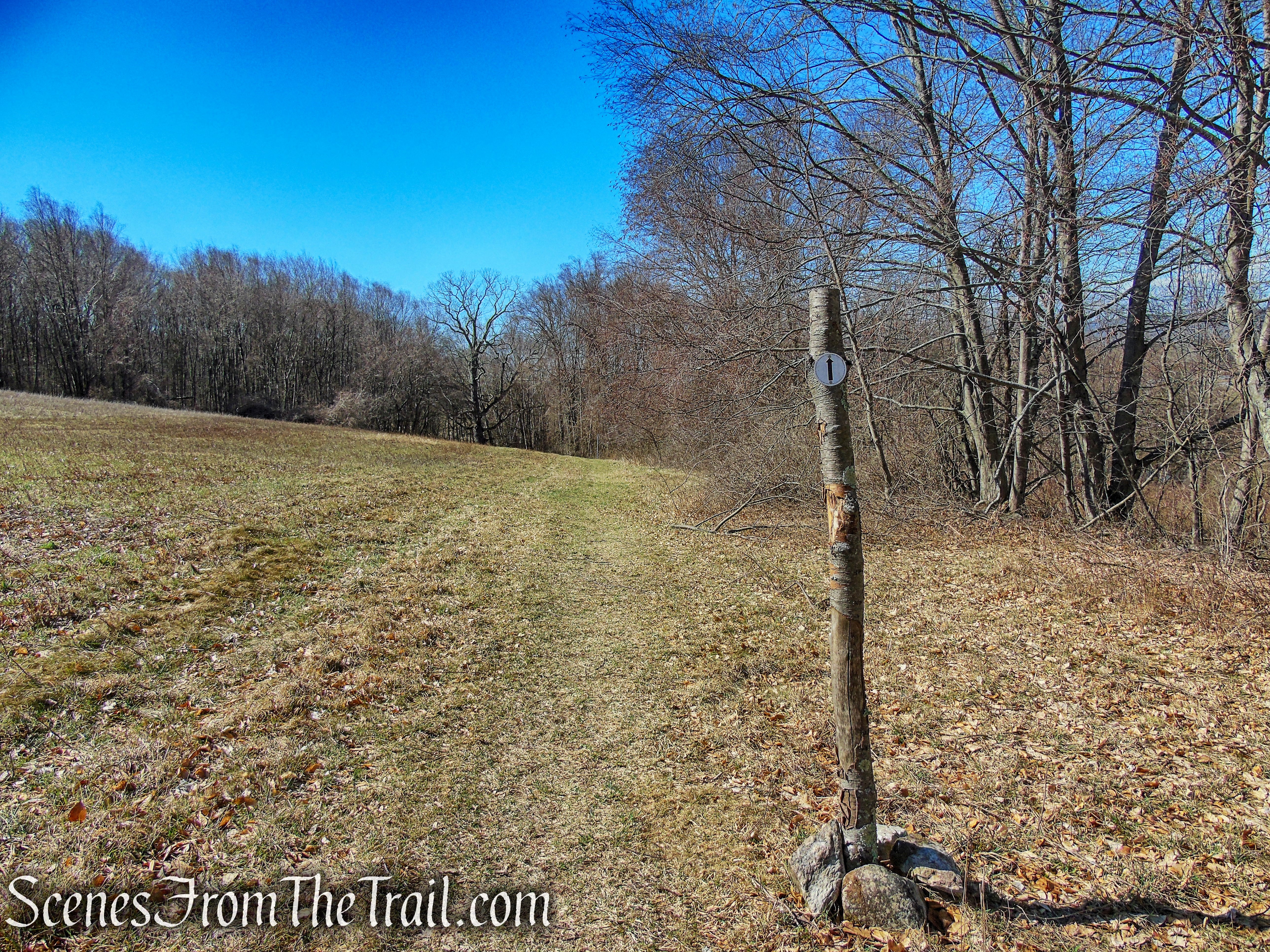 Cliff Loop Extension - Sharon Land Trust