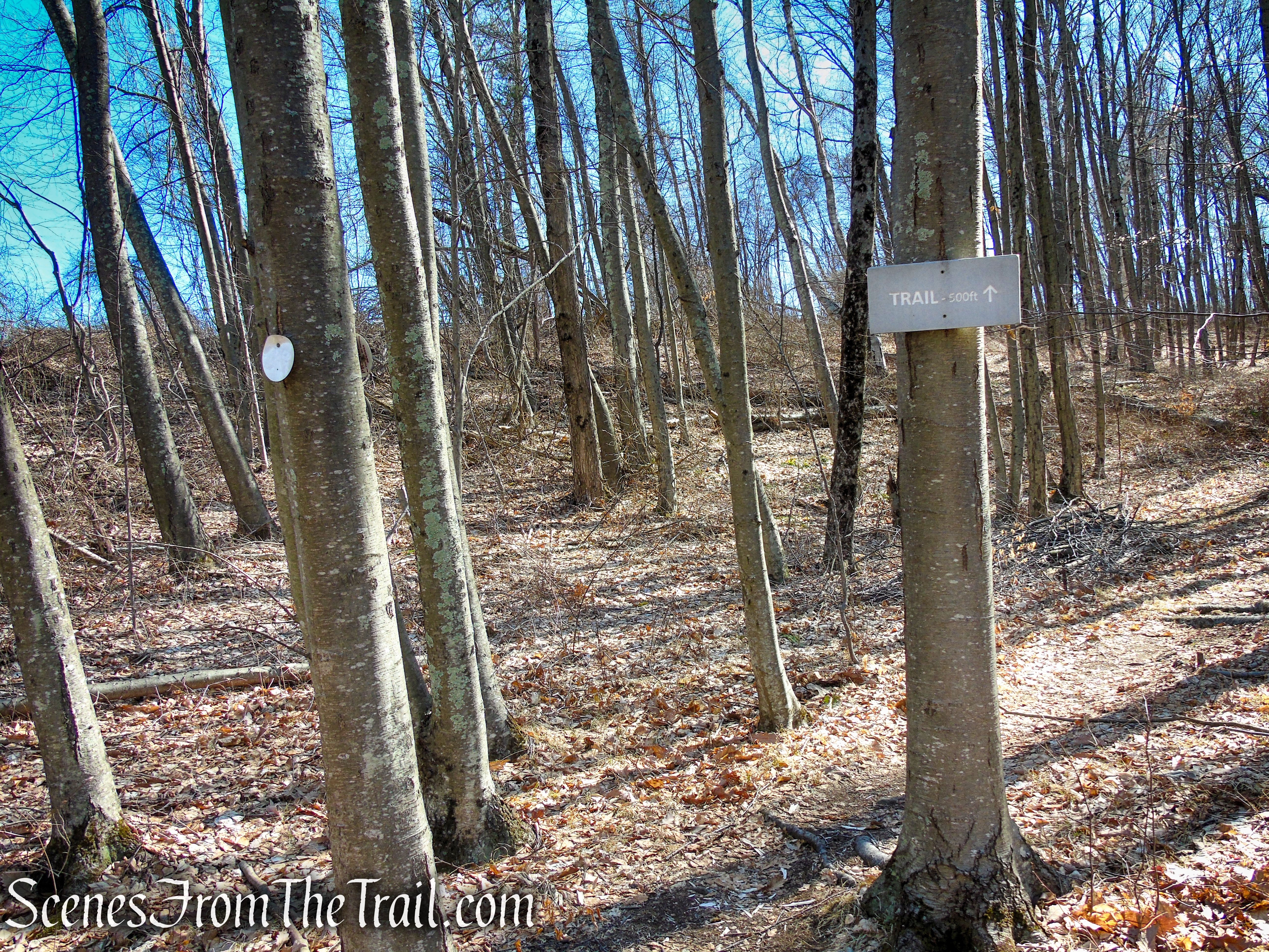 Cliff Loop - Sharon Land Trust