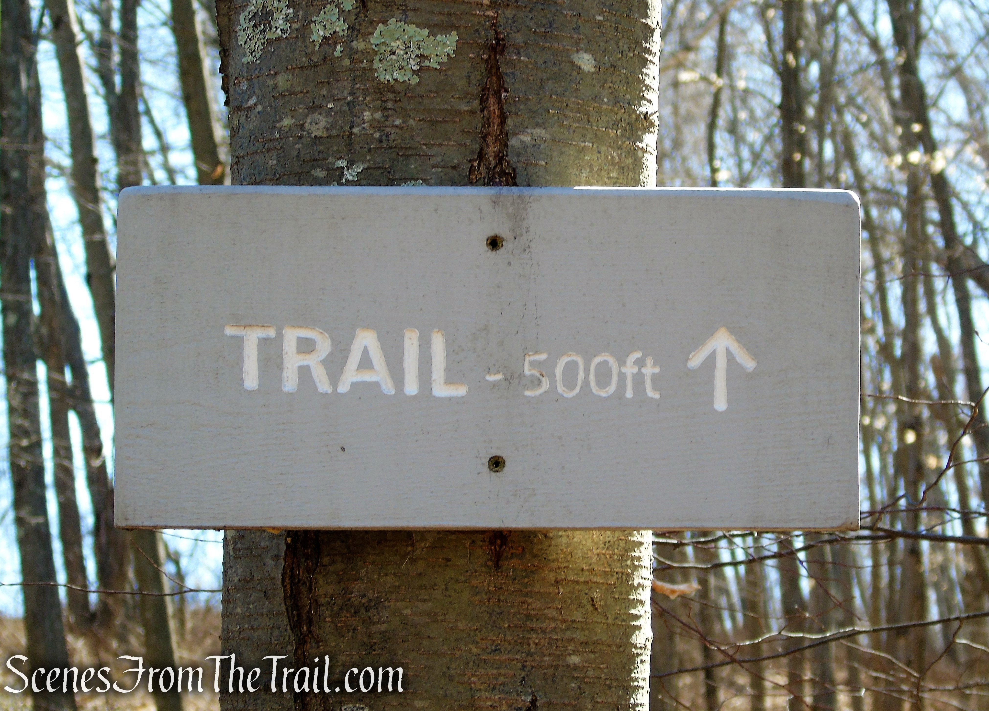 Cliff Loop - Sharon Land Trust