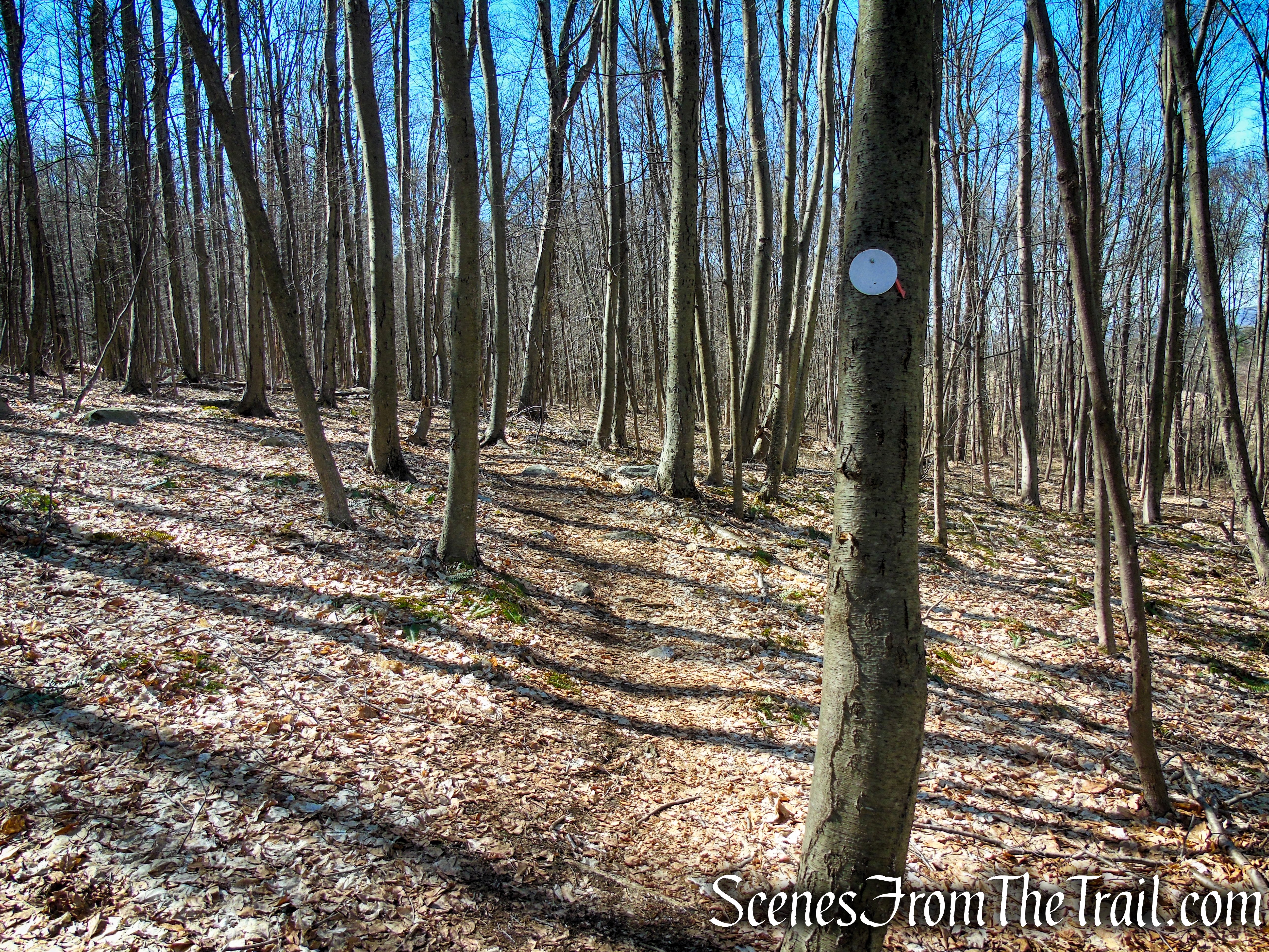Cliff Loop - Sharon Land Trust
