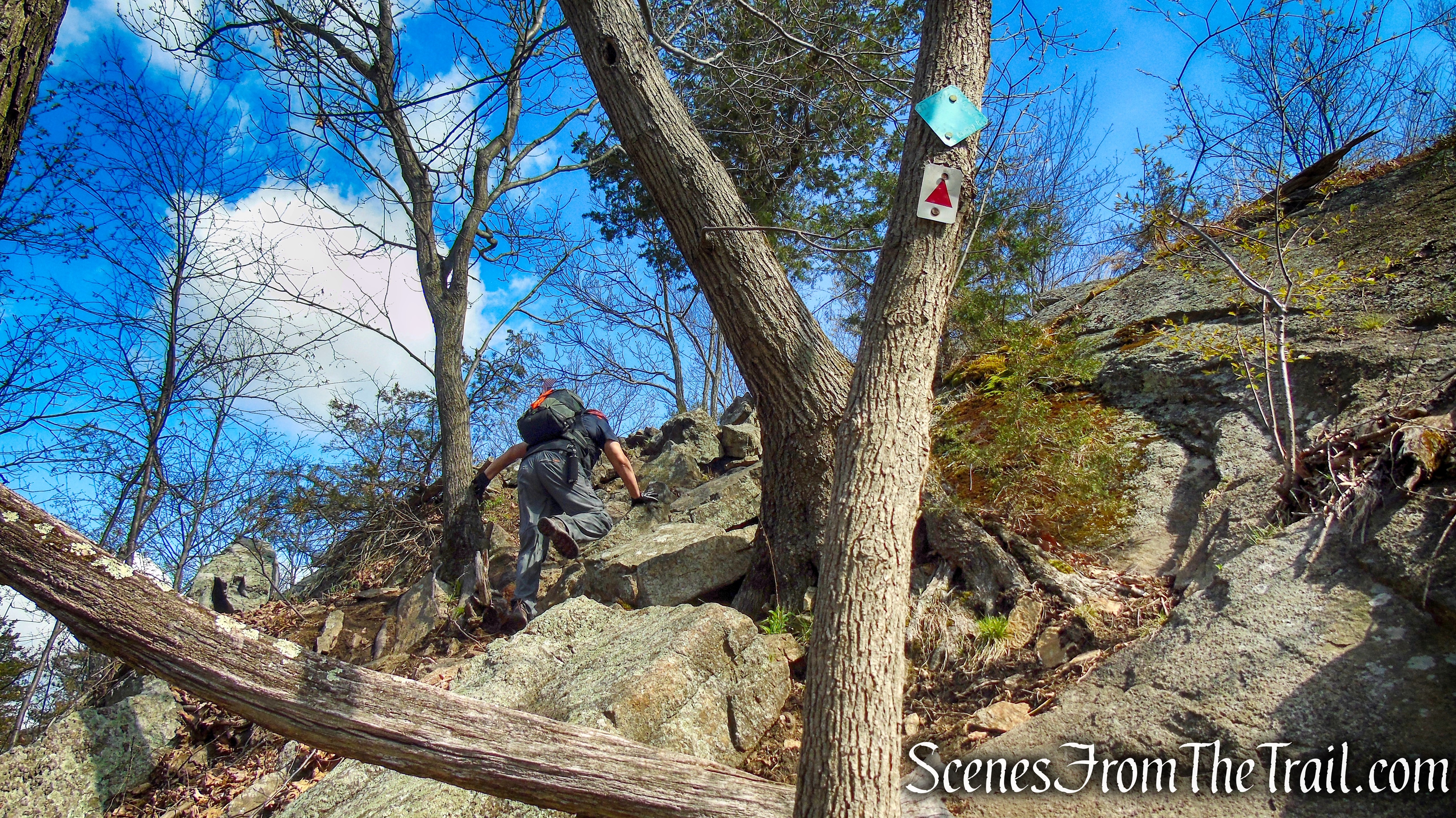 Stonetown Circular Trail – Windbeam Mountain