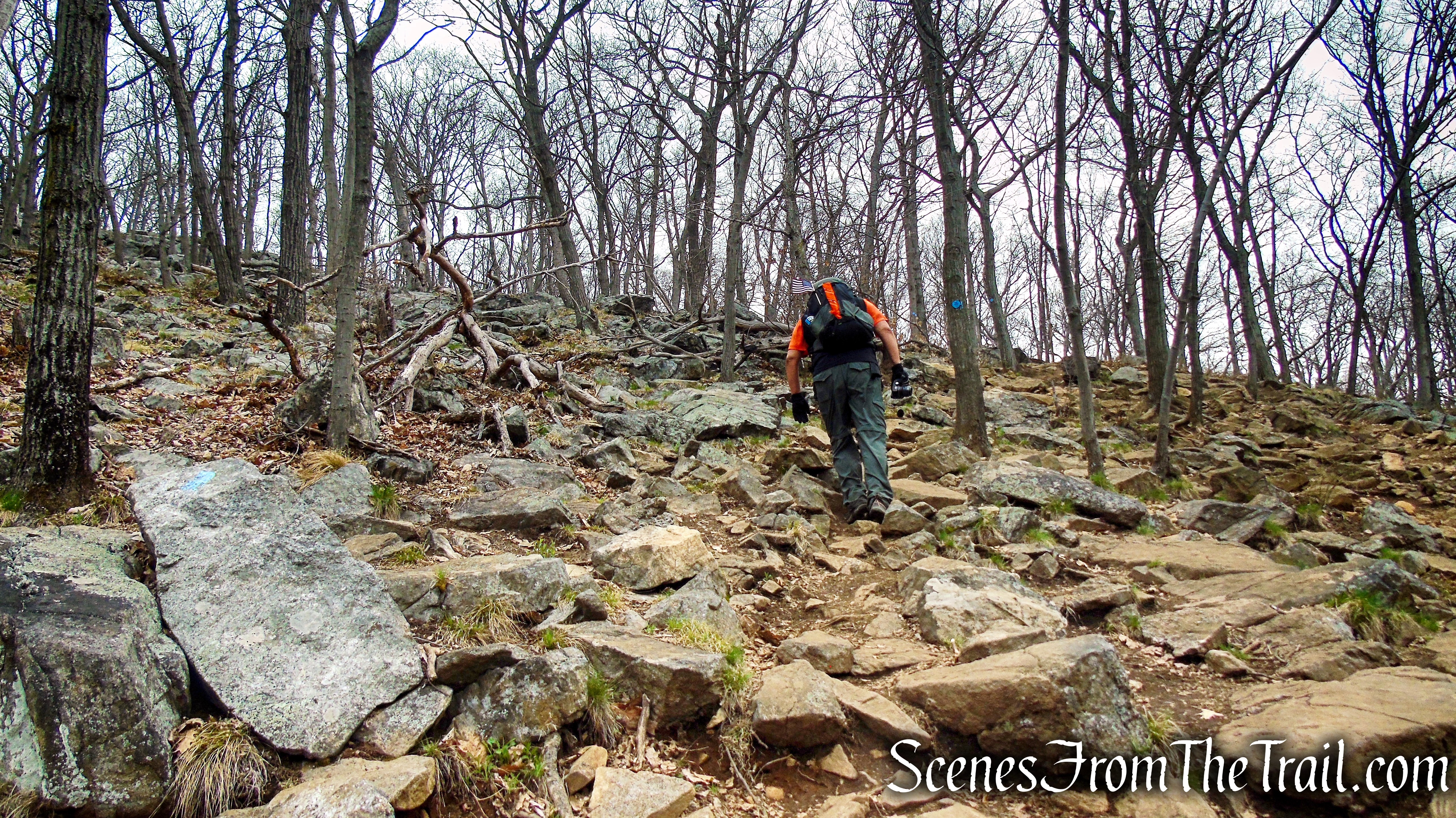 Camp Smith Trail - Anthony’s Nose