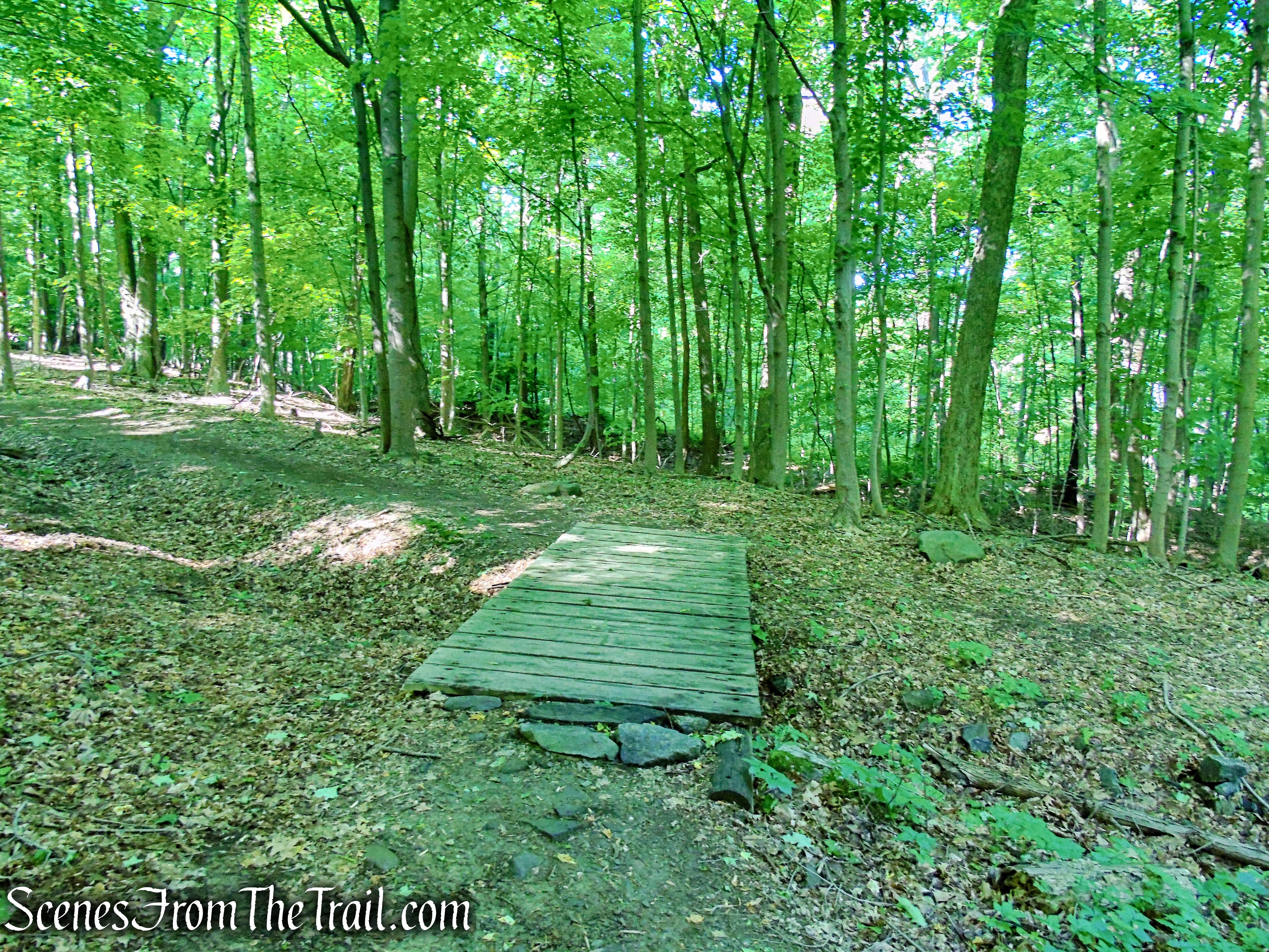 Overlook Trail - Bald Hill