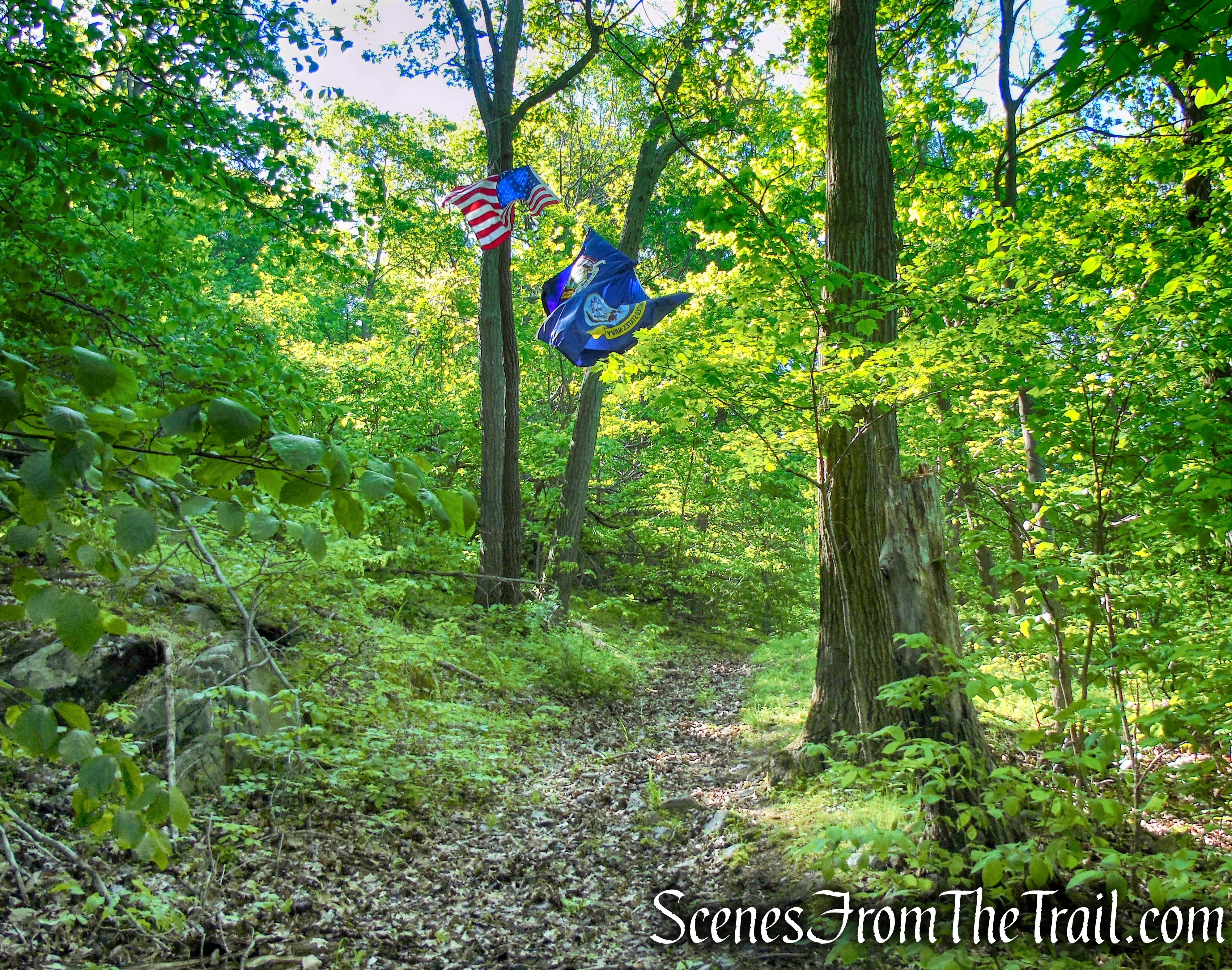 1945 Plane Crash Site – Bald Hill