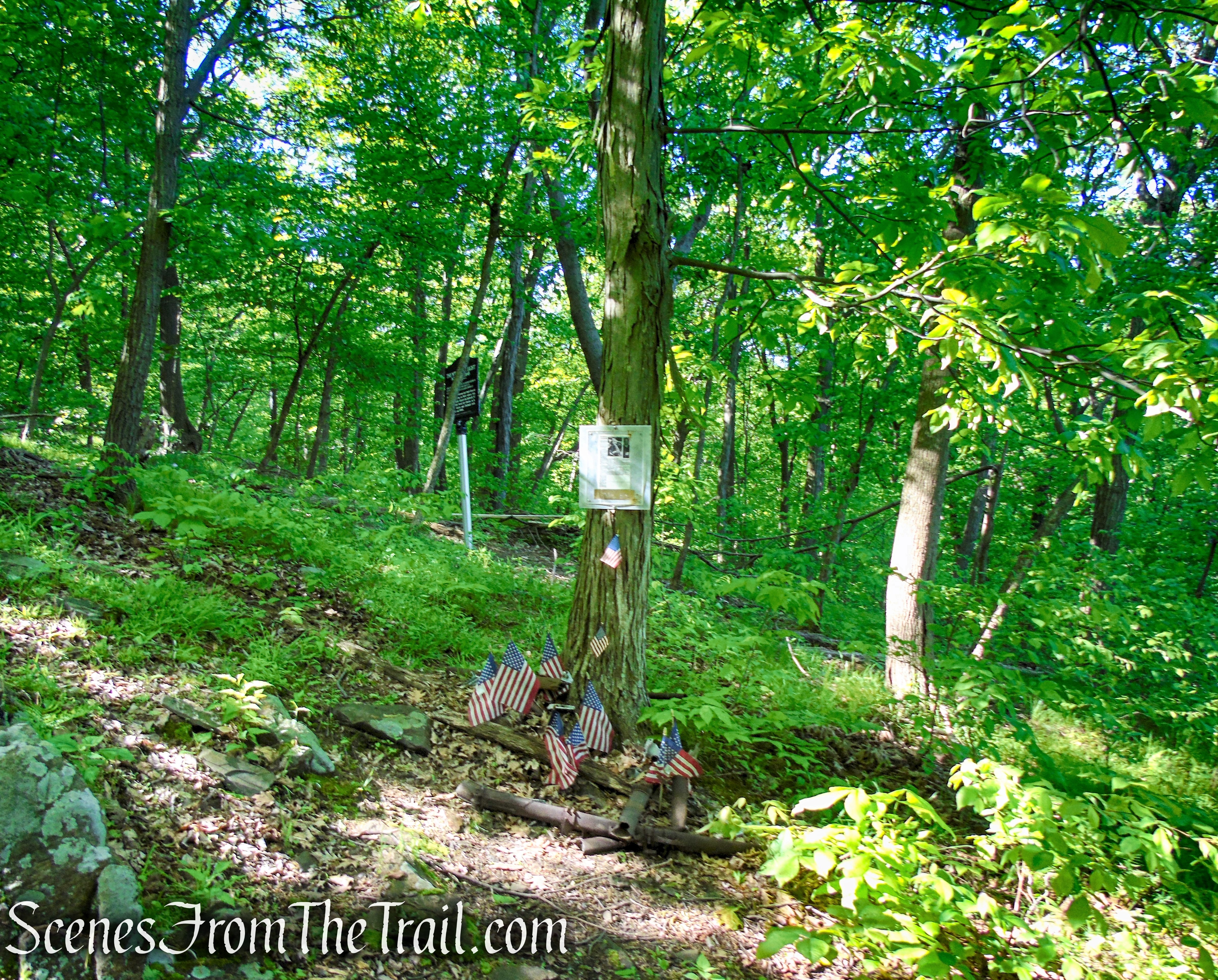 1945 Plane Crash Site – Bald Hill