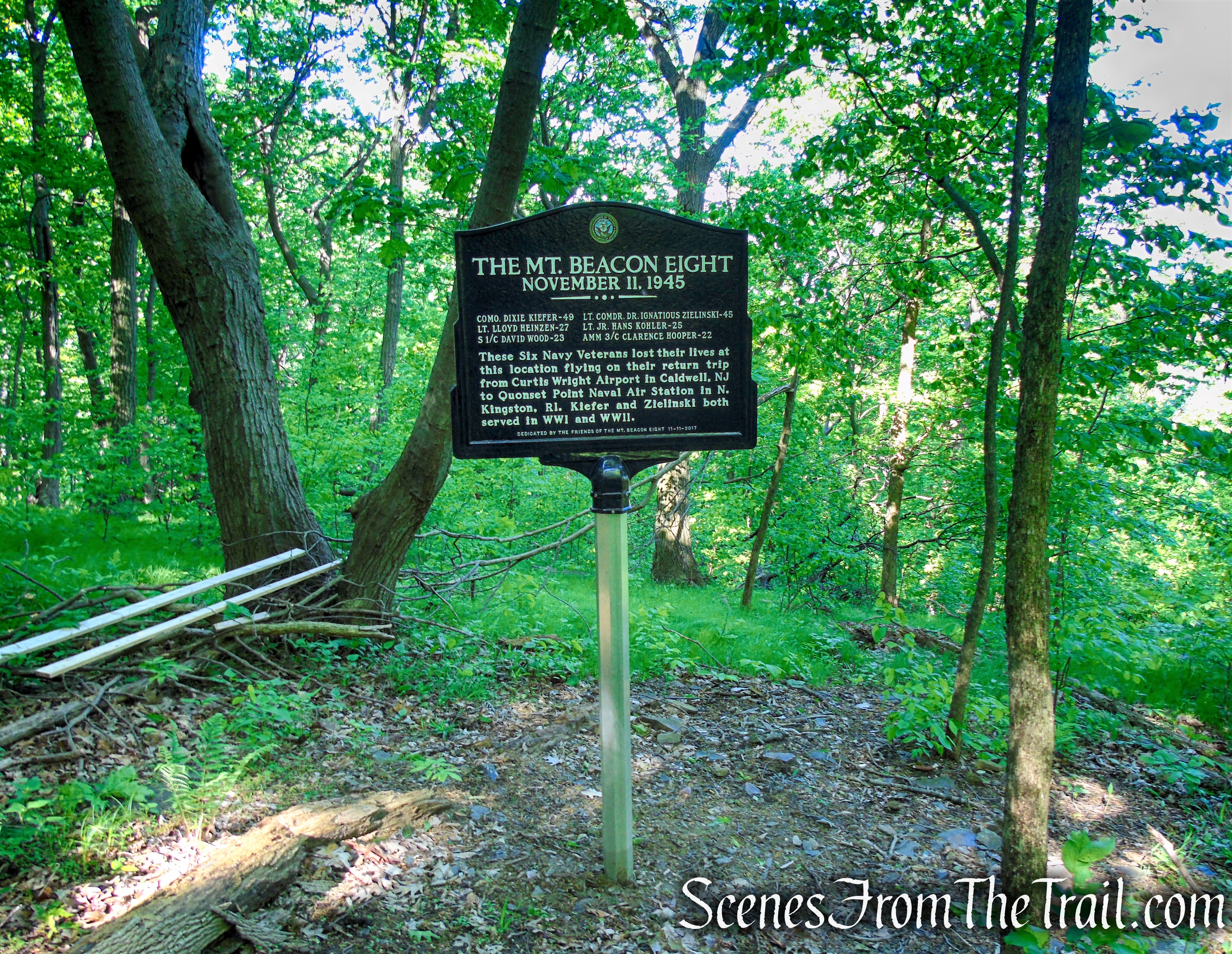 1945 Plane Crash Site – Bald Hill