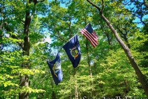 1945 Plane Crash Site – Bald Hill