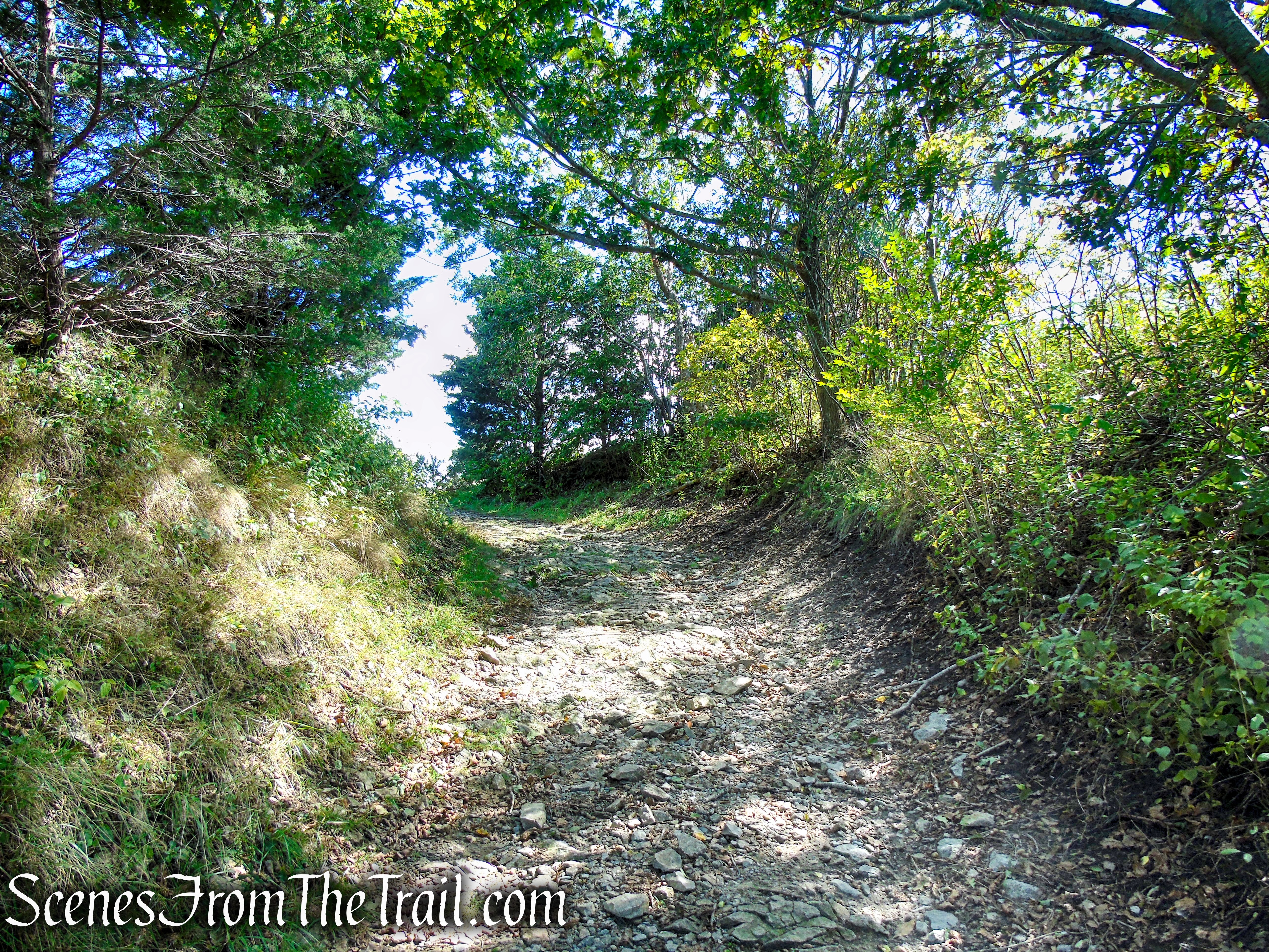 Fort Wetherill State Park
