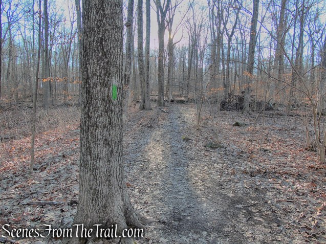 Green Trail - Crescent Lake Recreation Area