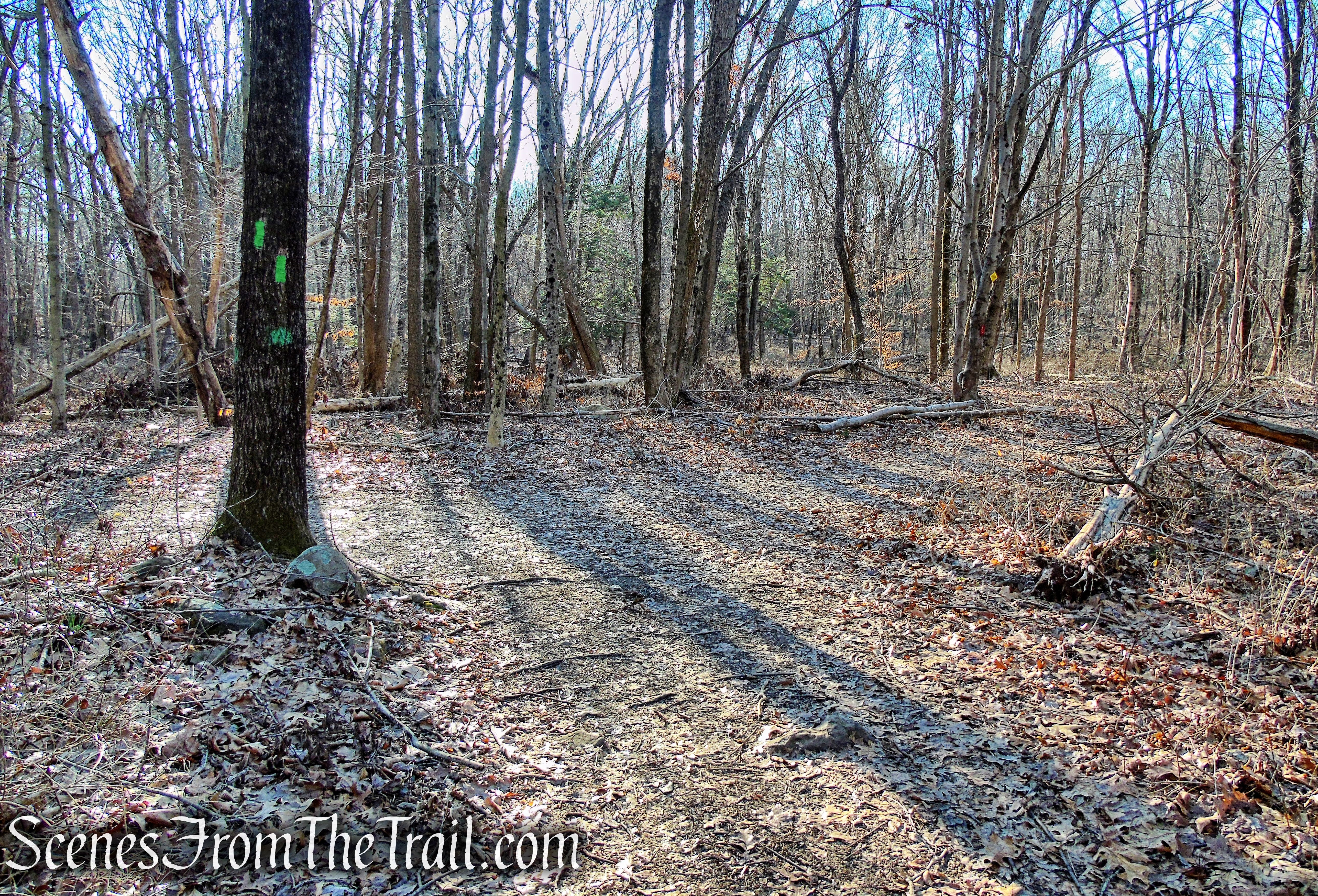 Green Trail - Crescent Lake Recreation Area