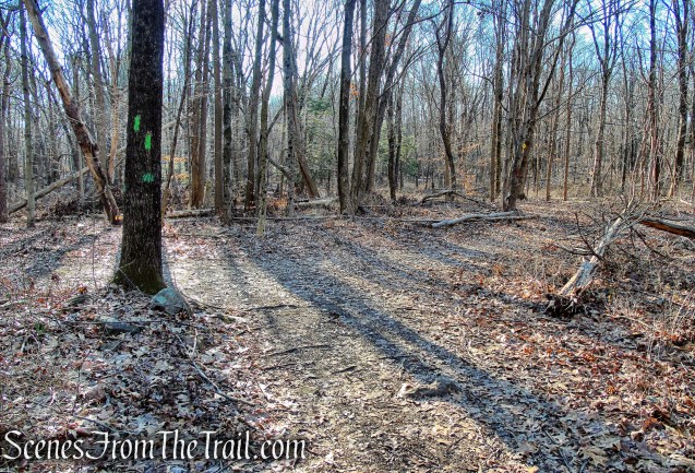 Green Trail - Crescent Lake Recreation Area