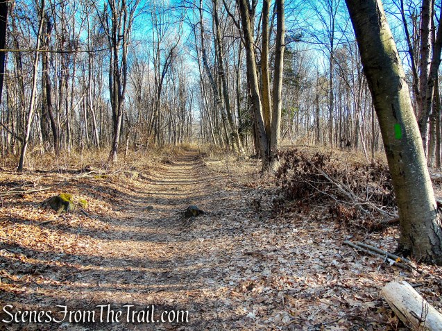 Green Trail - Crescent Lake Recreation Area