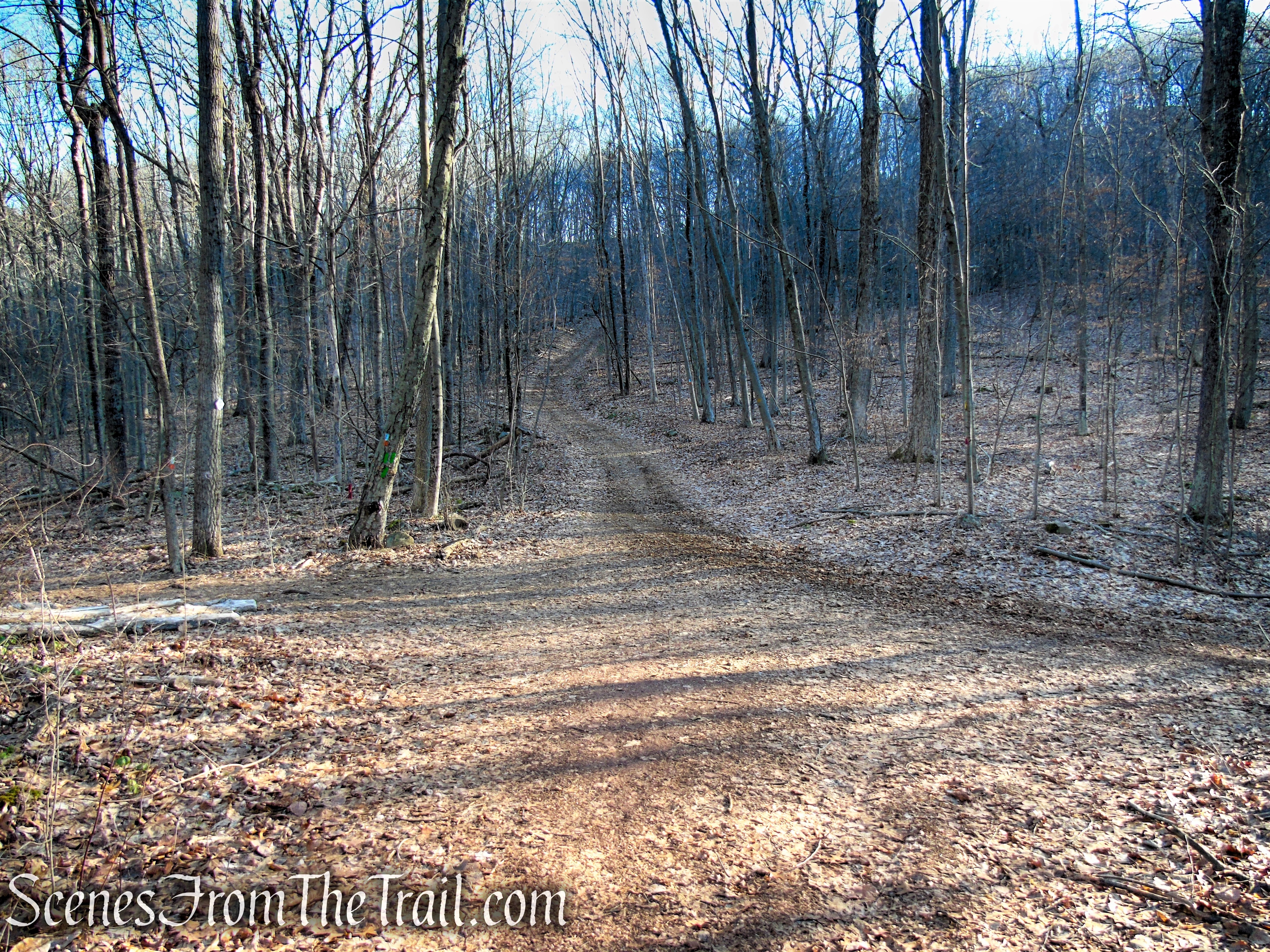 terminus of Green Trail - Crescent Lake Recreation Area