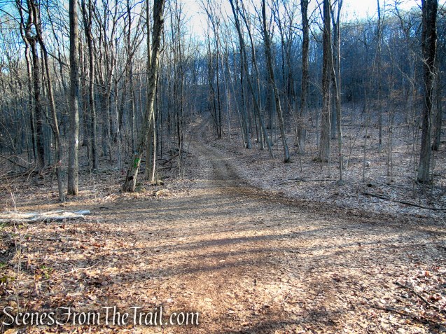 terminus of Green Trail - Crescent Lake Recreation Area