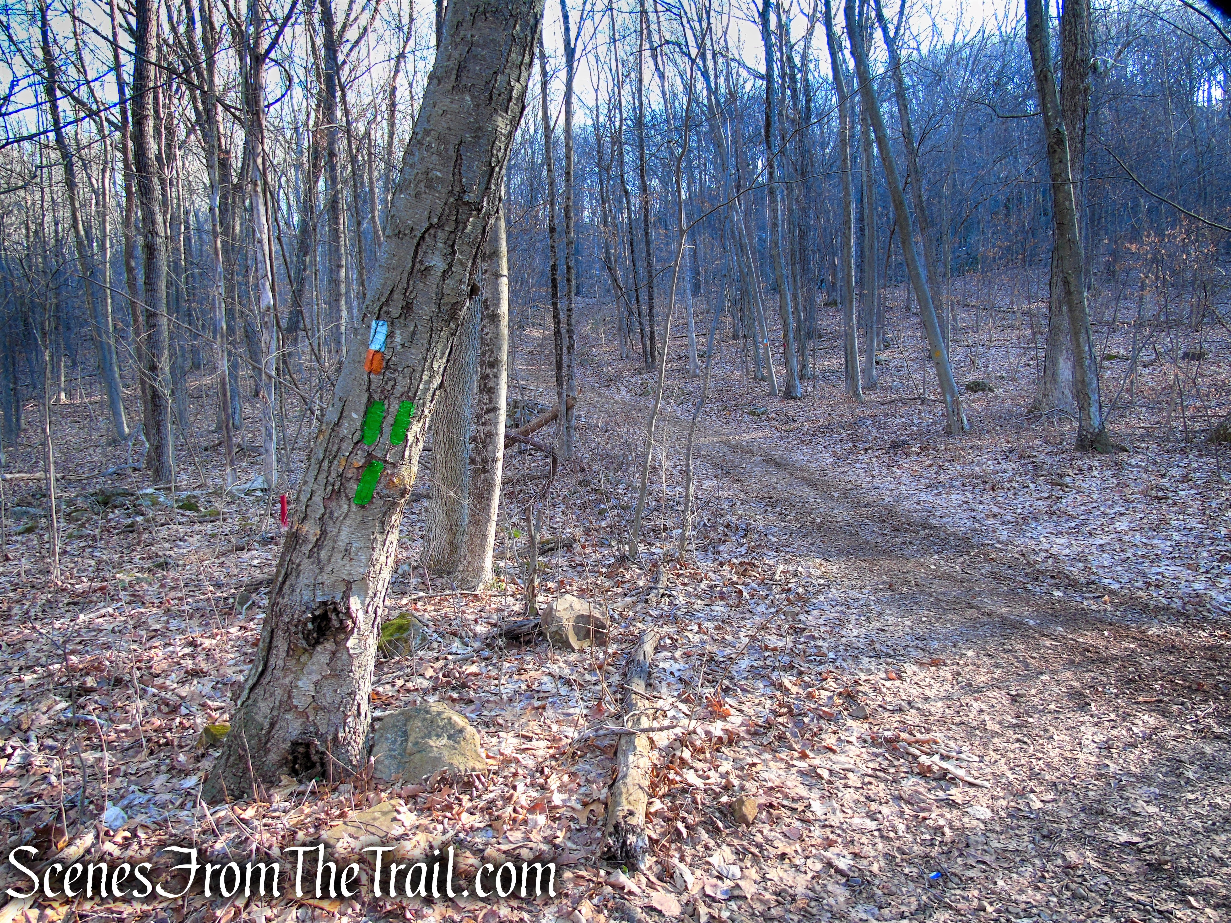 terminus of Green Trail - Crescent Lake Recreation Area