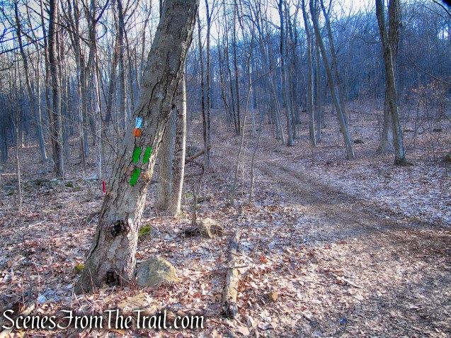 terminus of Green Trail - Crescent Lake Recreation Area