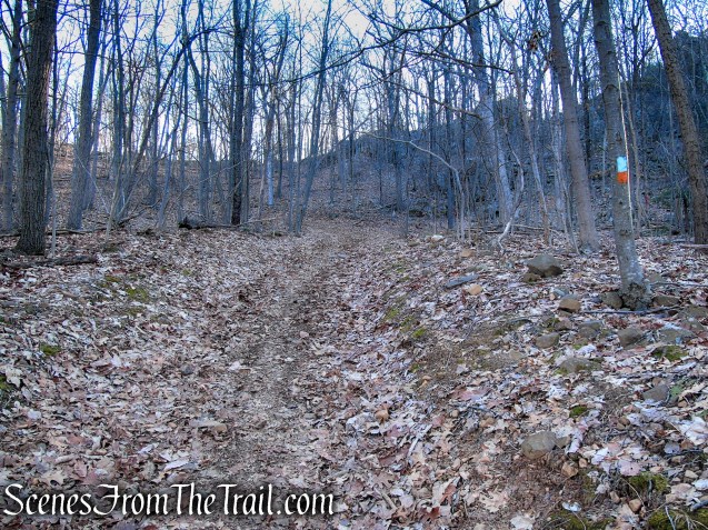 Blue/Orange Trail - Crescent Lake Recreation Area
