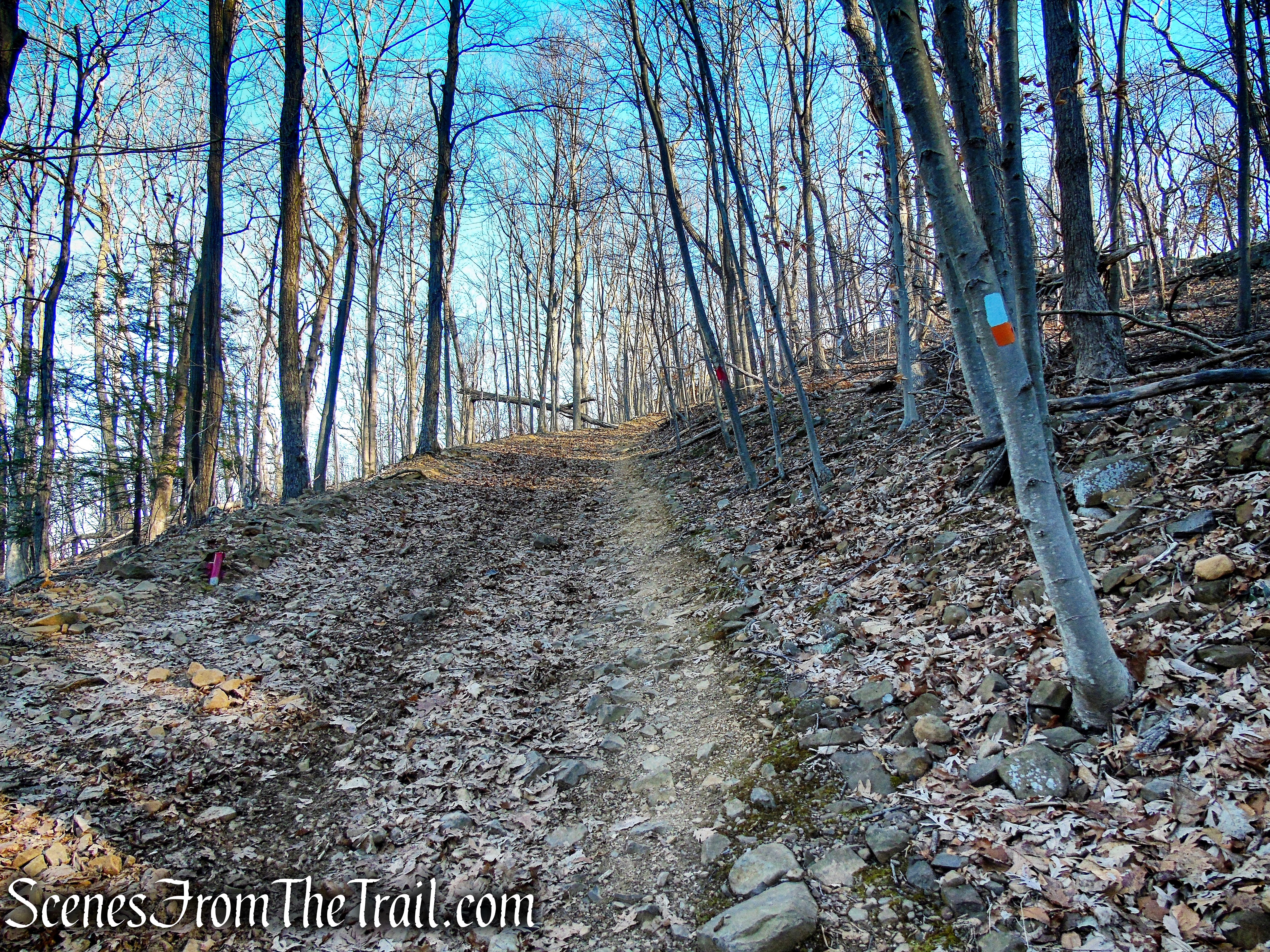 Blue/Orange Trail - Crescent Lake Recreation Area
