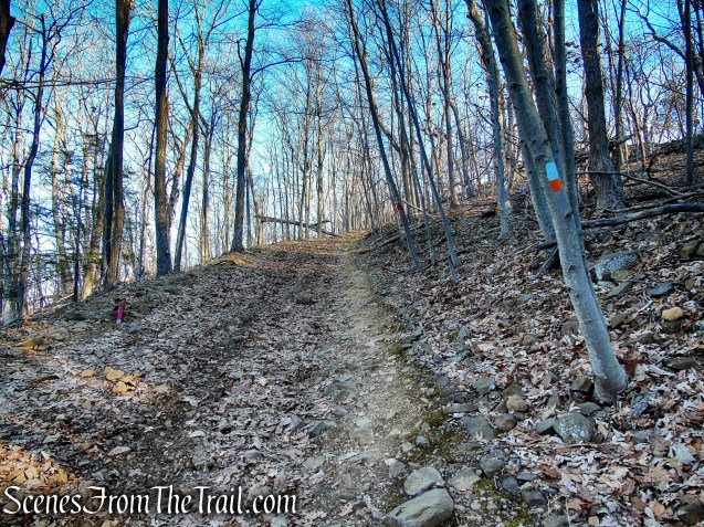 Blue/Orange Trail - Crescent Lake Recreation Area