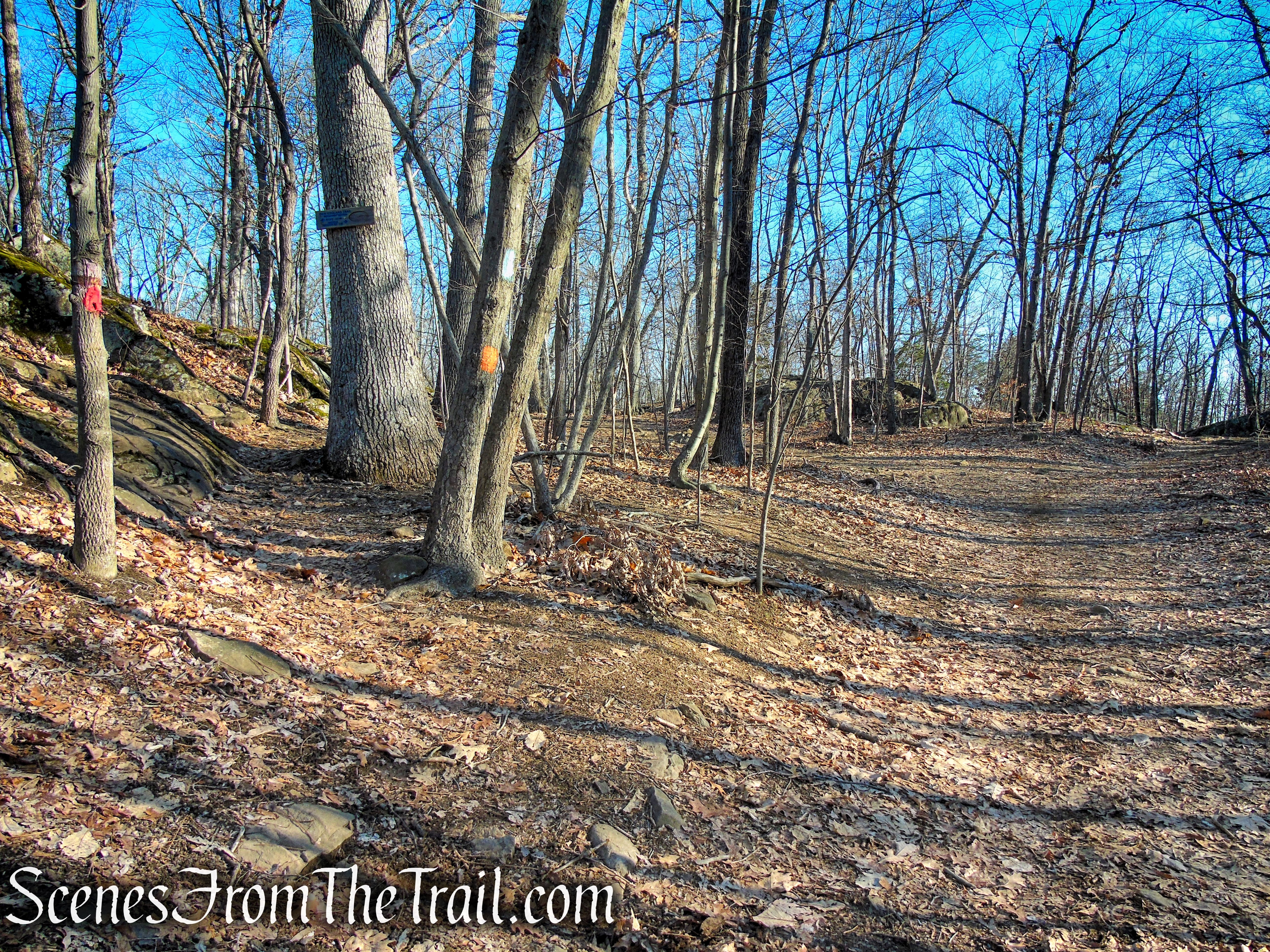 Blue/Orange Trail - Crescent Lake Recreation Area