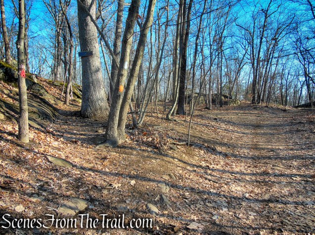Blue/Orange Trail - Crescent Lake Recreation Area