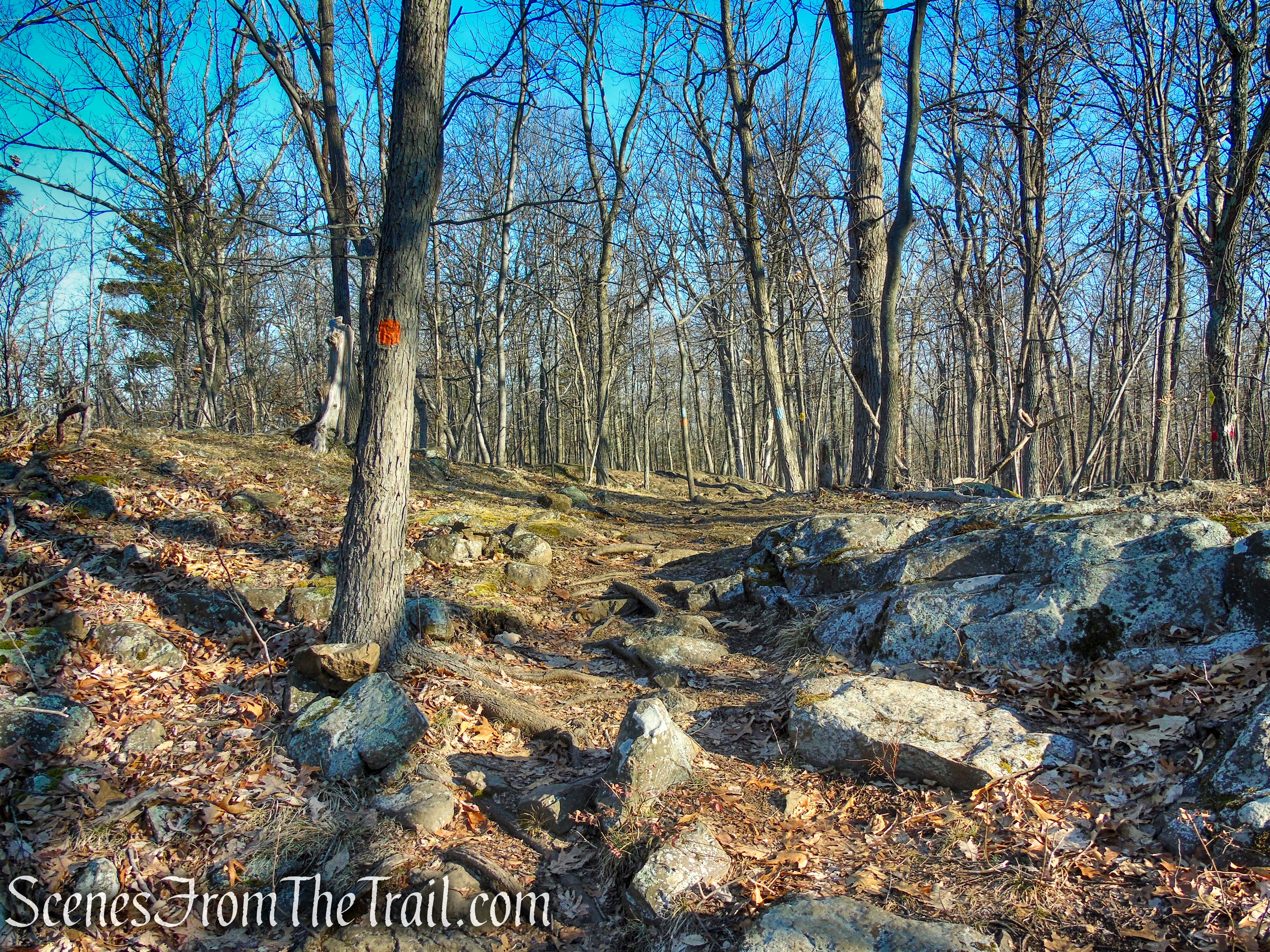 Blue/Orange Trail - Crescent Lake Recreation Area