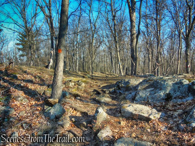 Blue/Orange Trail - Crescent Lake Recreation Area