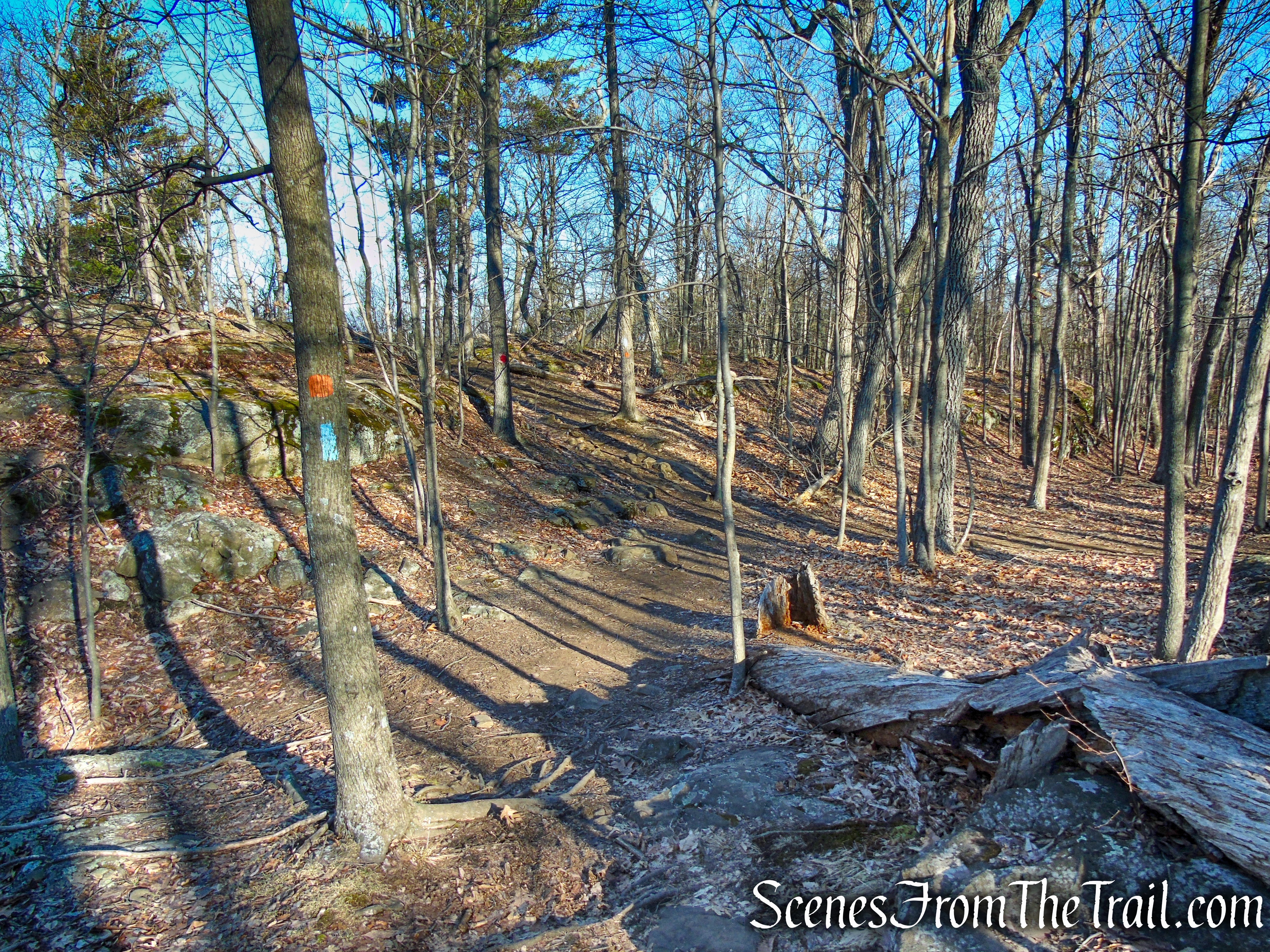 Blue/Orange Trail - Crescent Lake Recreation Area