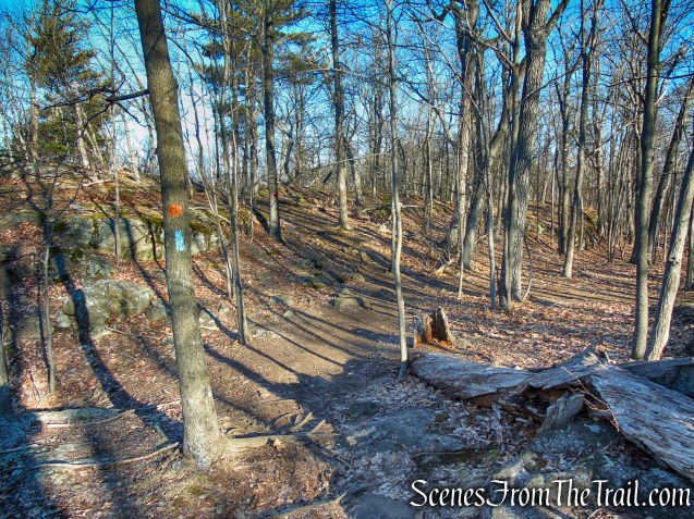 Blue/Orange Trail - Crescent Lake Recreation Area
