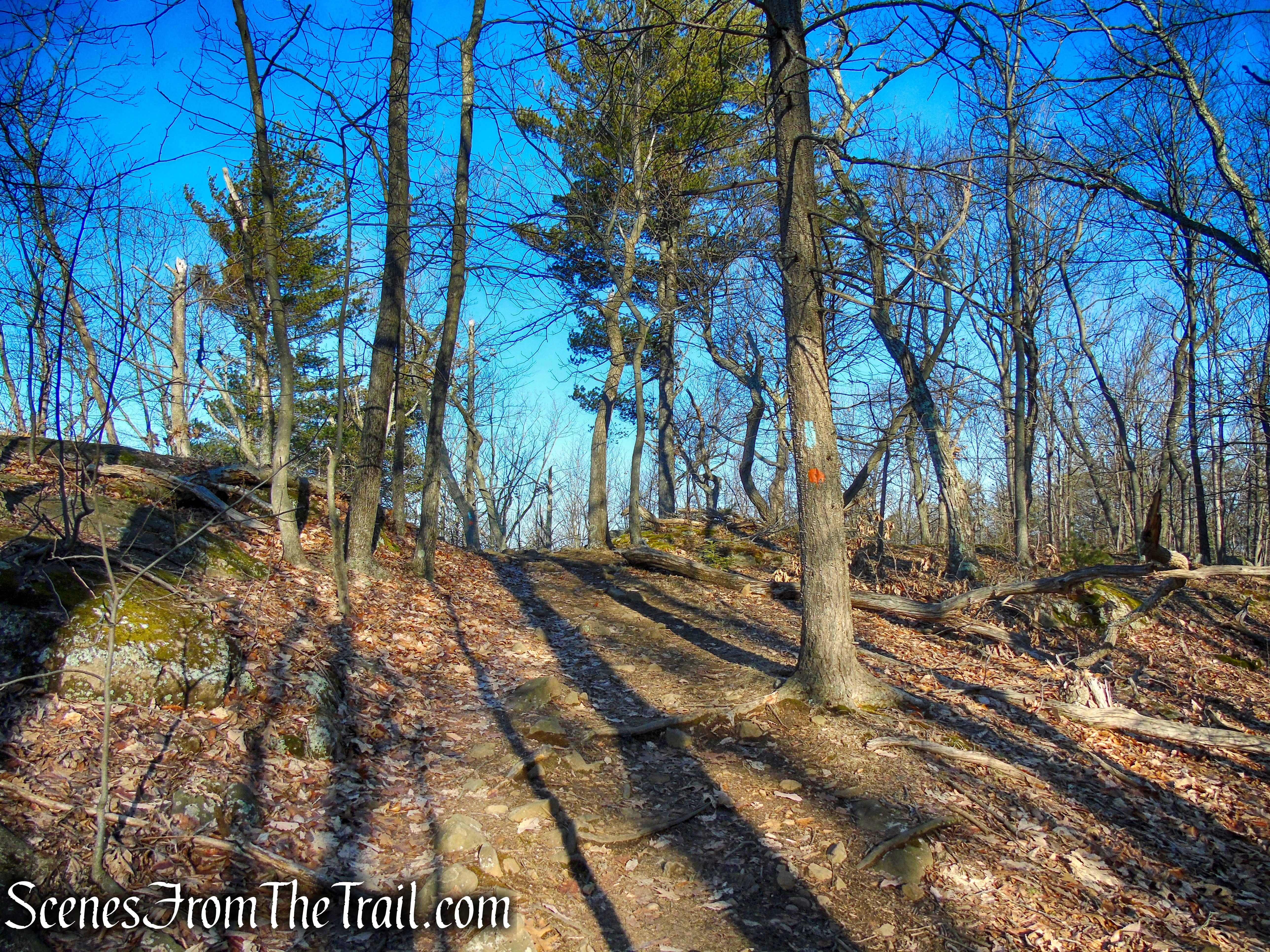 Blue/Orange Trail - Crescent Lake Recreation Area