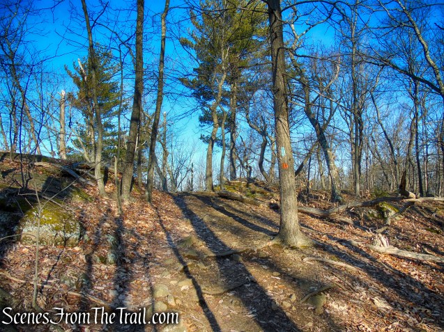Blue/Orange Trail - Crescent Lake Recreation Area
