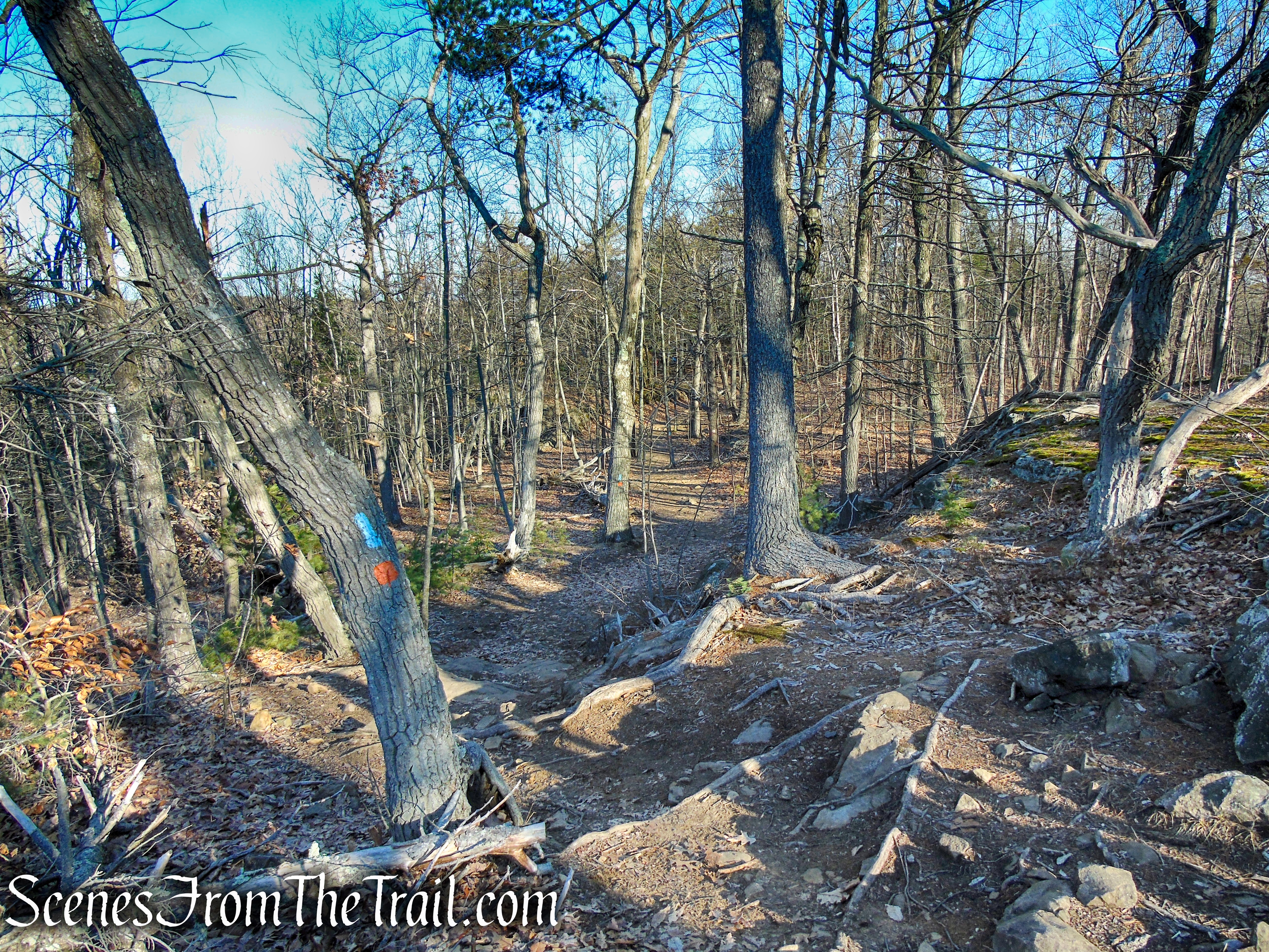Blue/Orange Trail - Crescent Lake Recreation Area