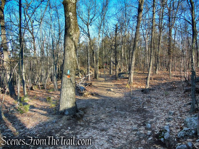 Blue/Orange Trail - Crescent Lake Recreation Area