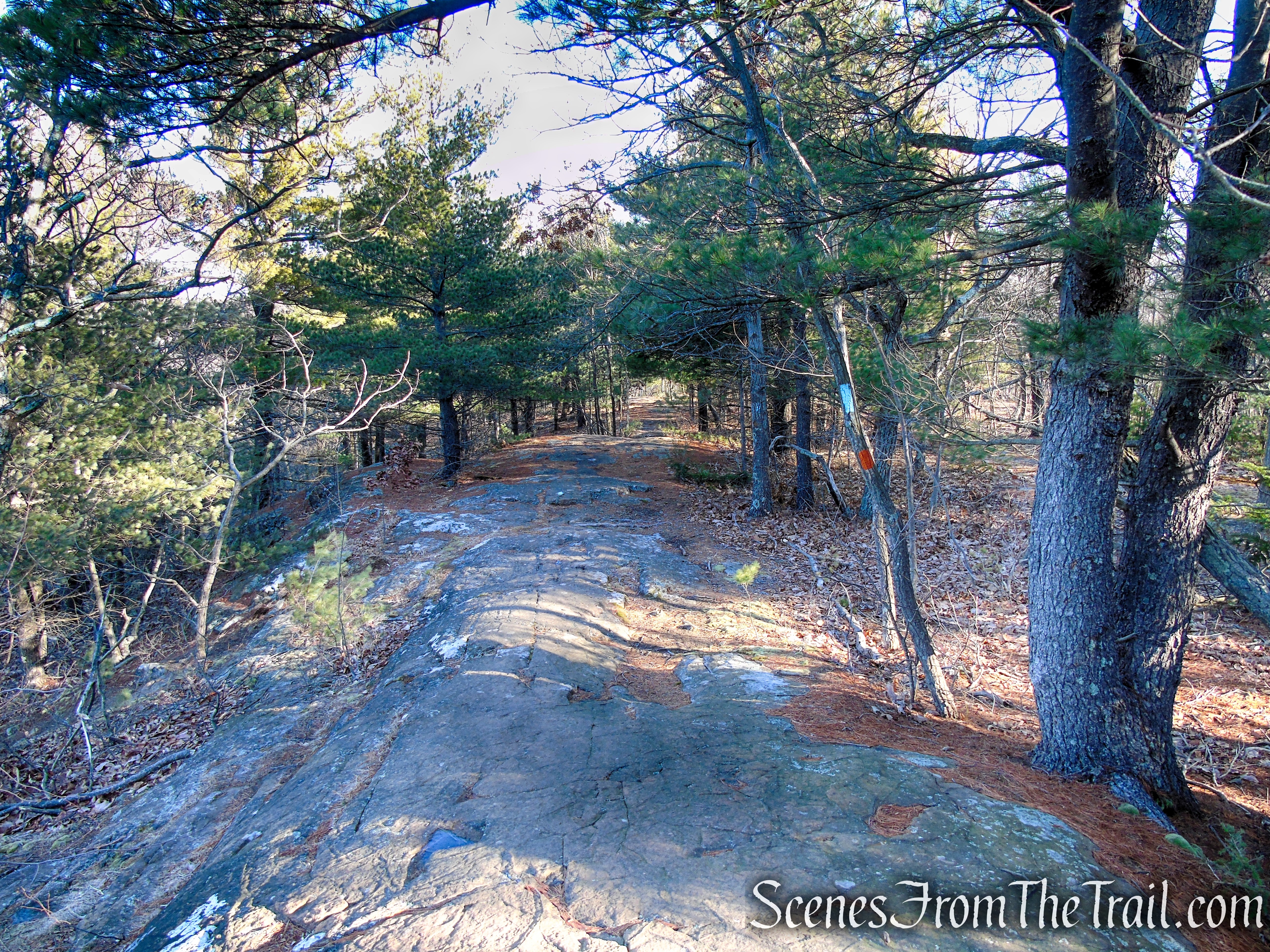 Blue/Orange Trail - Crescent Lake Recreation Area