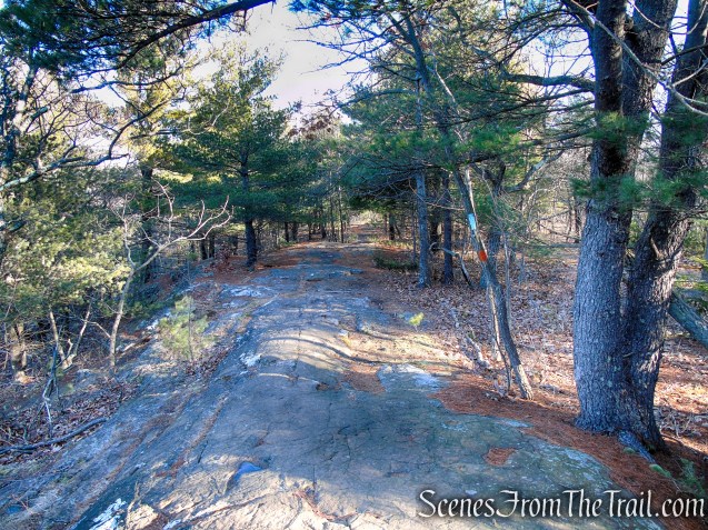 Blue/Orange Trail - Crescent Lake Recreation Area