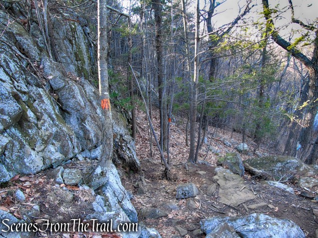 Blue/Orange Trail - Crescent Lake Recreation Area