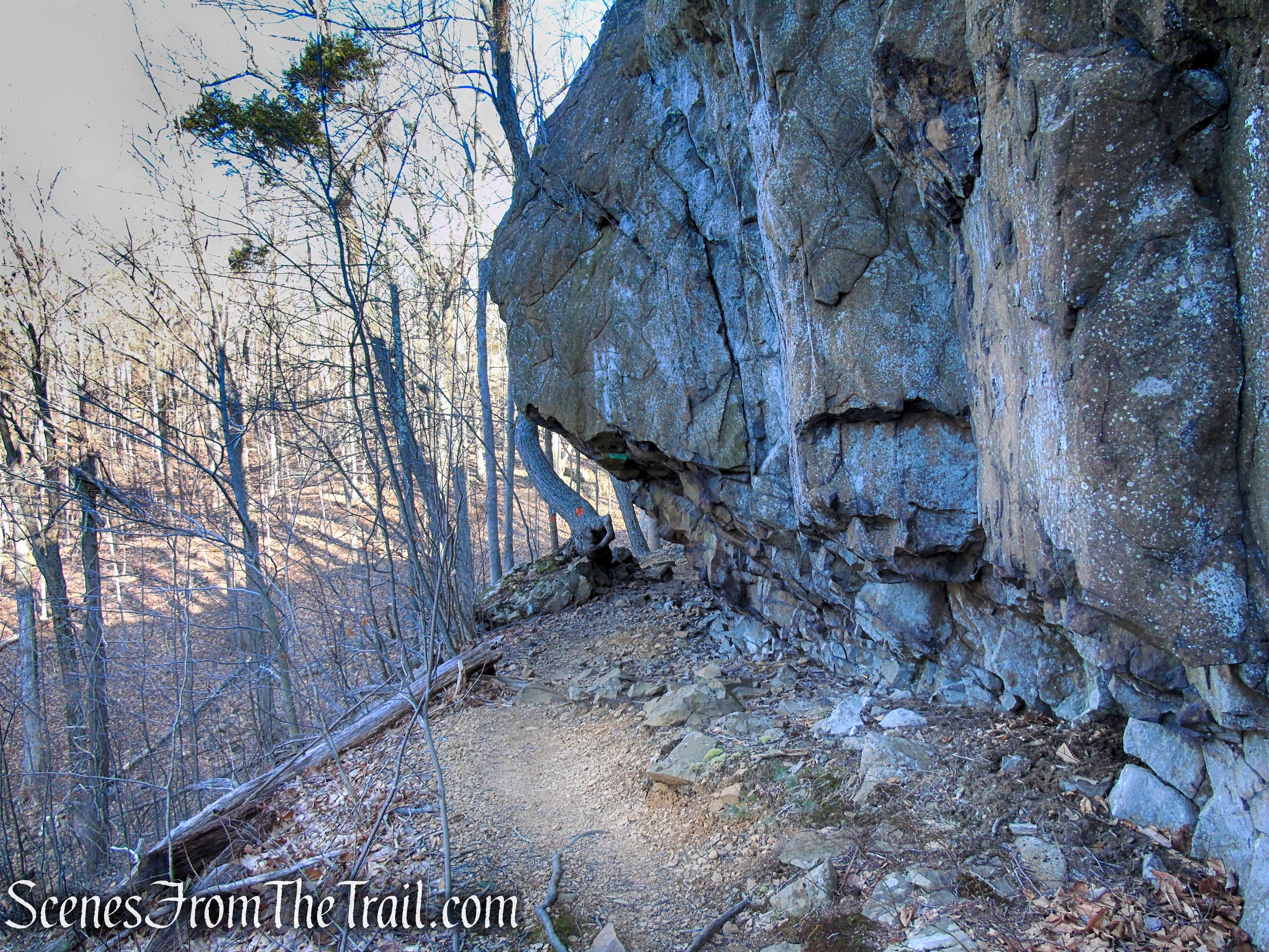 Blue/Orange Trail - Crescent Lake Recreation Area