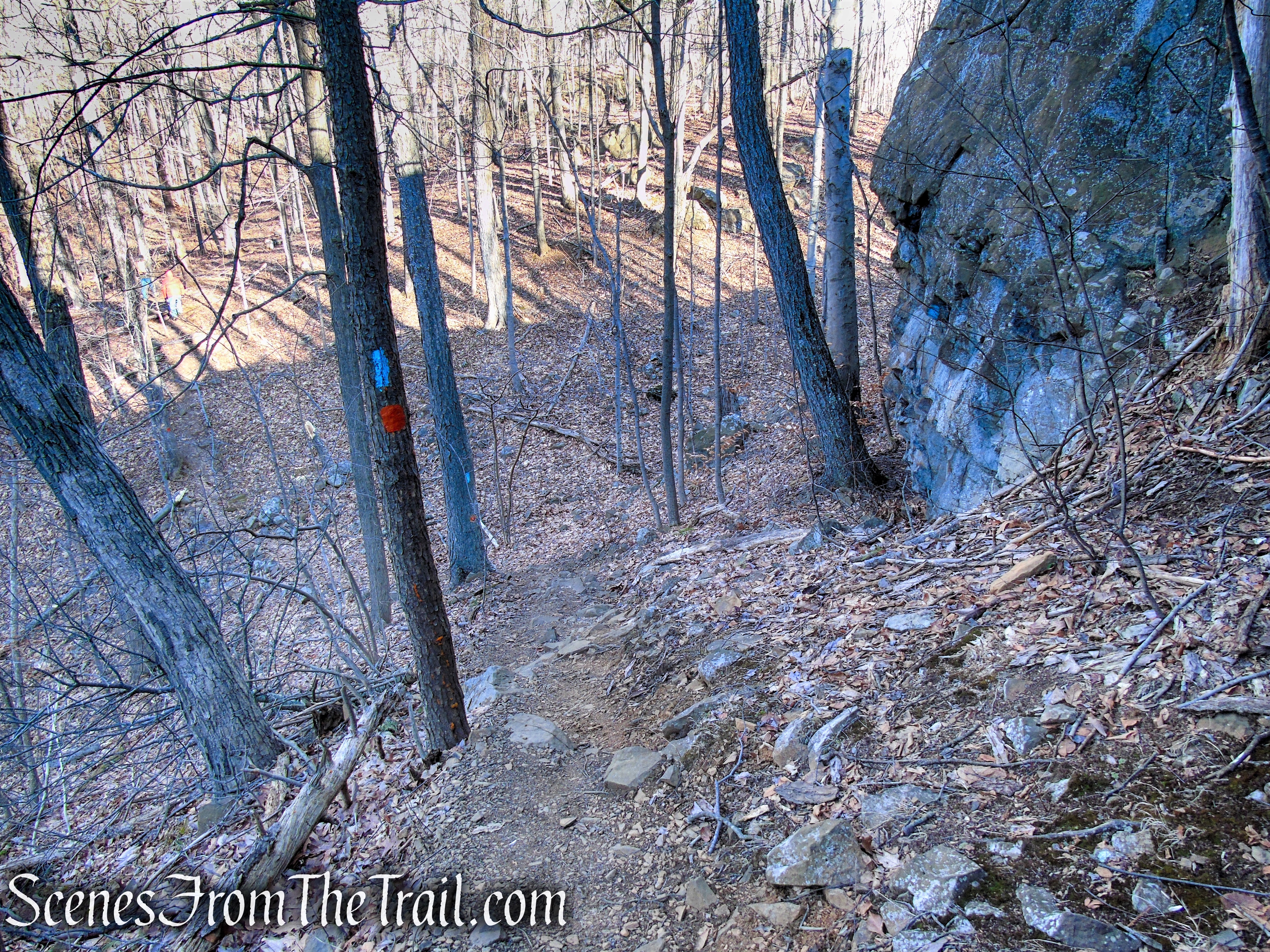 Blue/Orange Trail - Crescent Lake Recreation Area