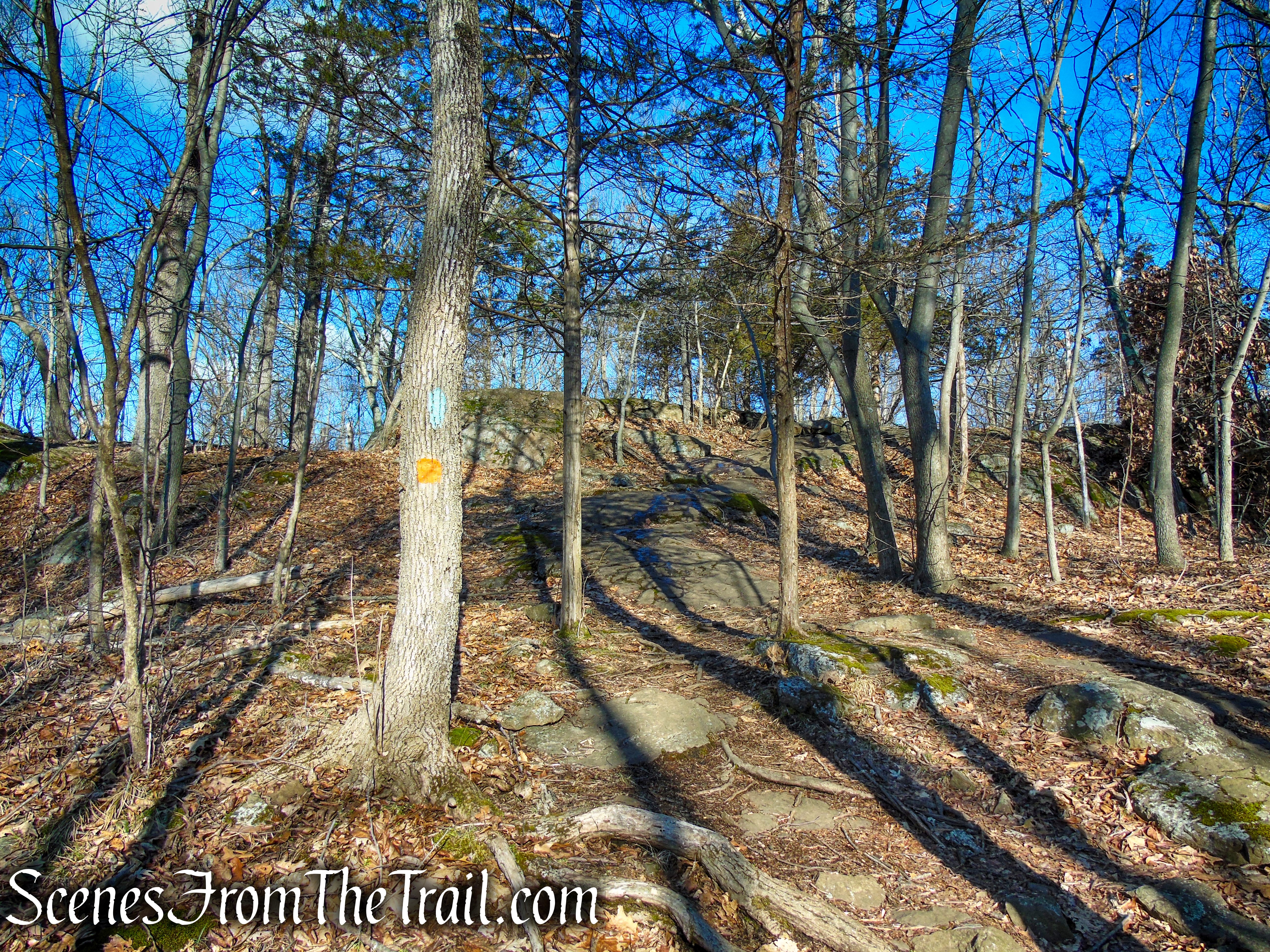 Blue/Orange Trail - Crescent Lake Recreation Area