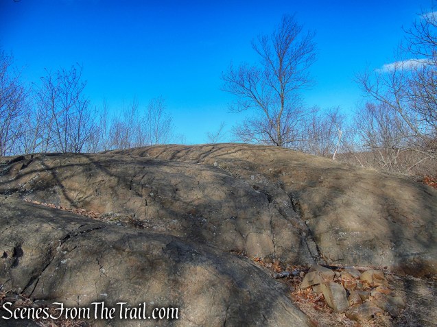 Blue/Orange Trail - Crescent Lake Recreation Area