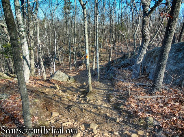 Blue/Orange Trail - Crescent Lake Recreation Area