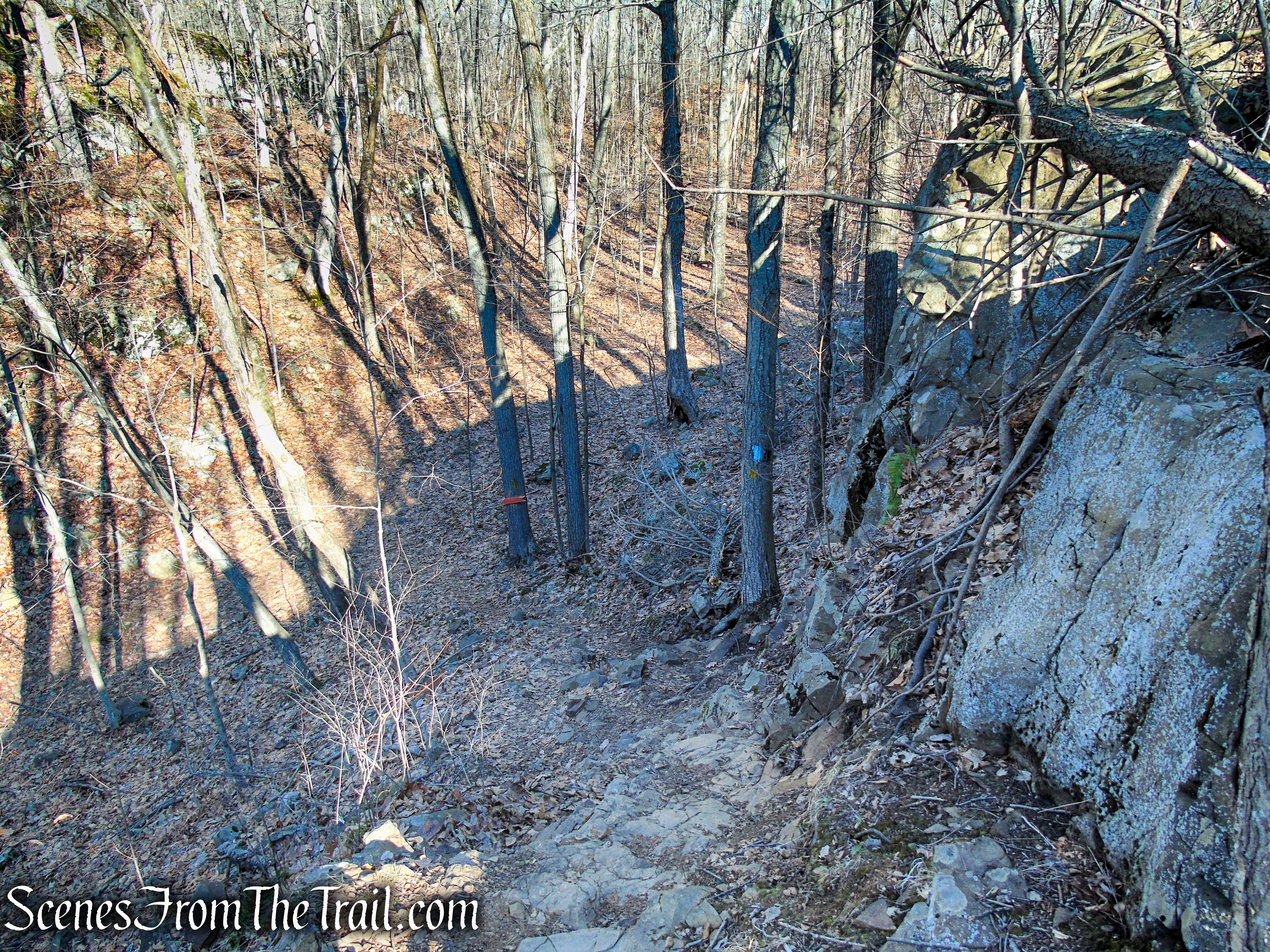 Blue/Orange Trail - Crescent Lake Recreation Area