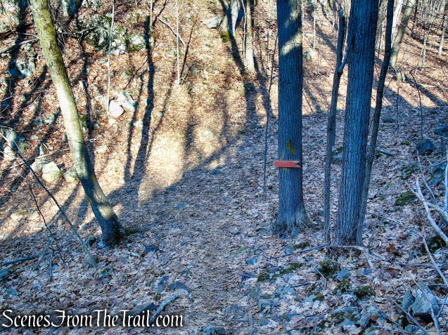 turn left on the Orange Trail