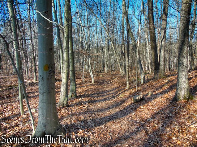 Orange Trail - Crescent Lake Recreation Area