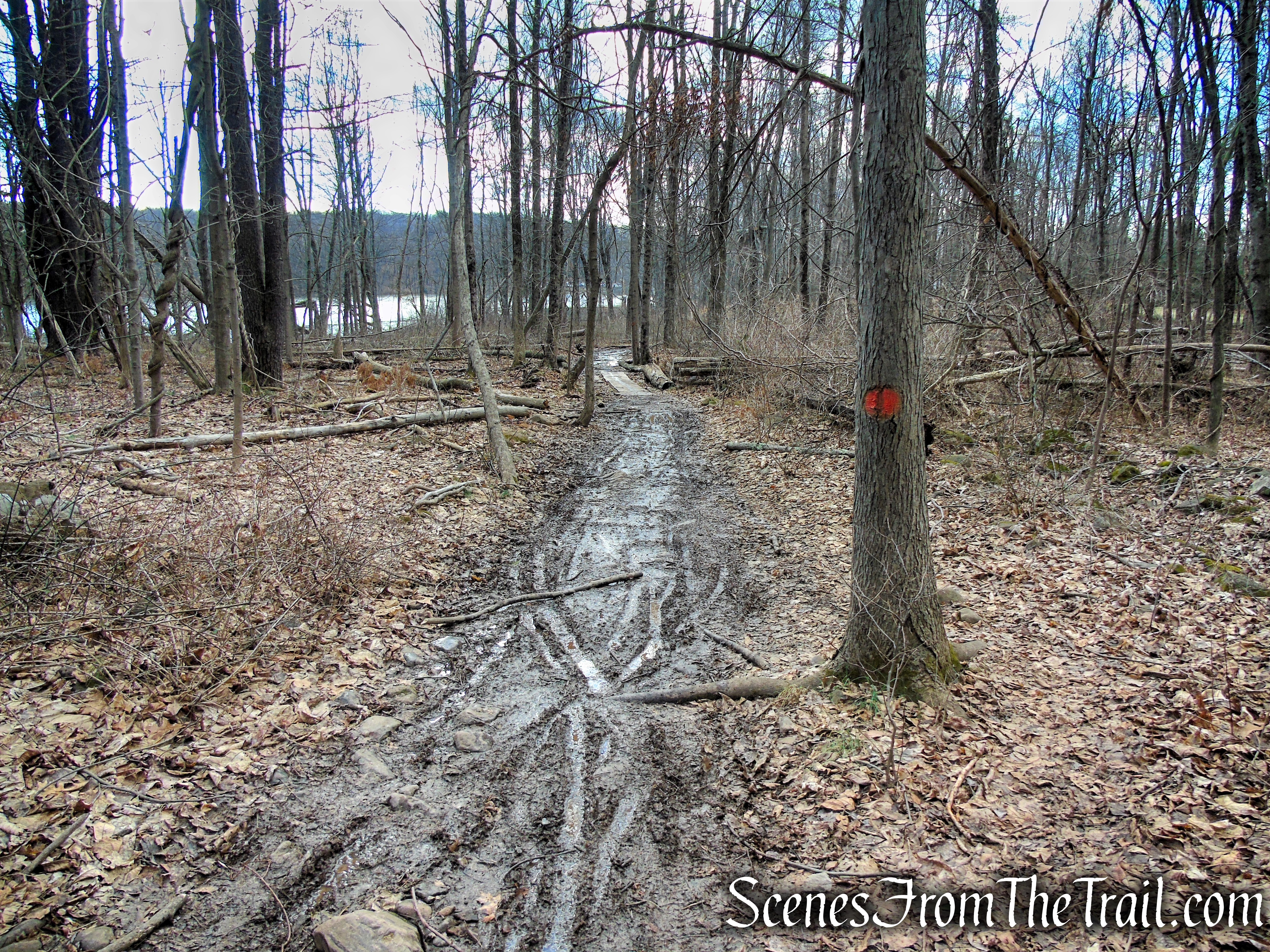 Orange Trail - Crescent Lake Recreation Area